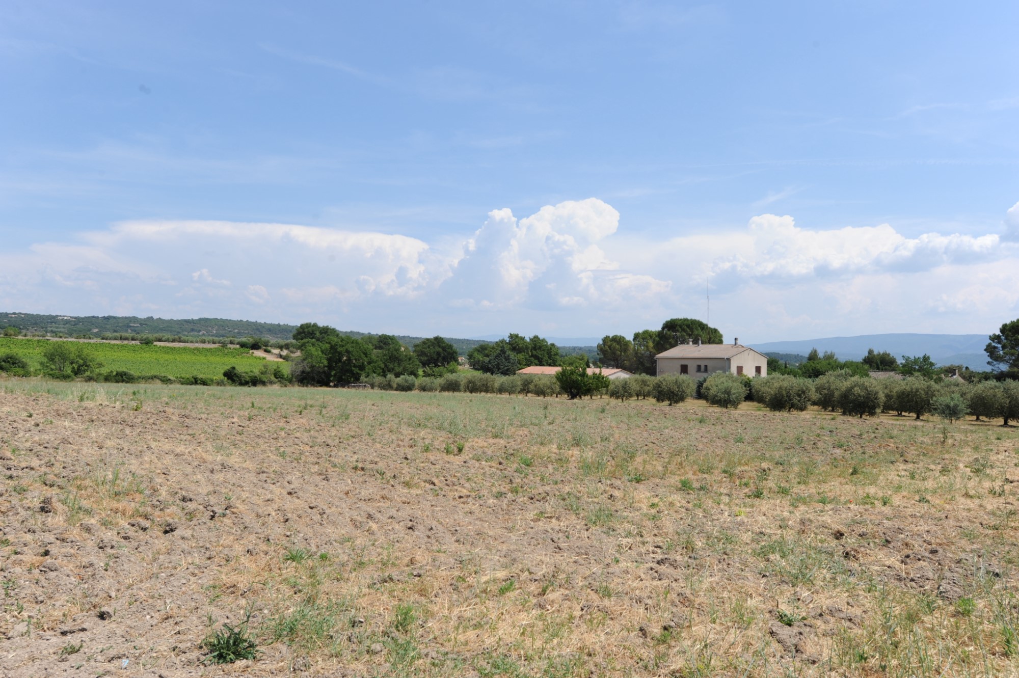 Terrain à bâtir à vendre en Luberon par ROSIER
