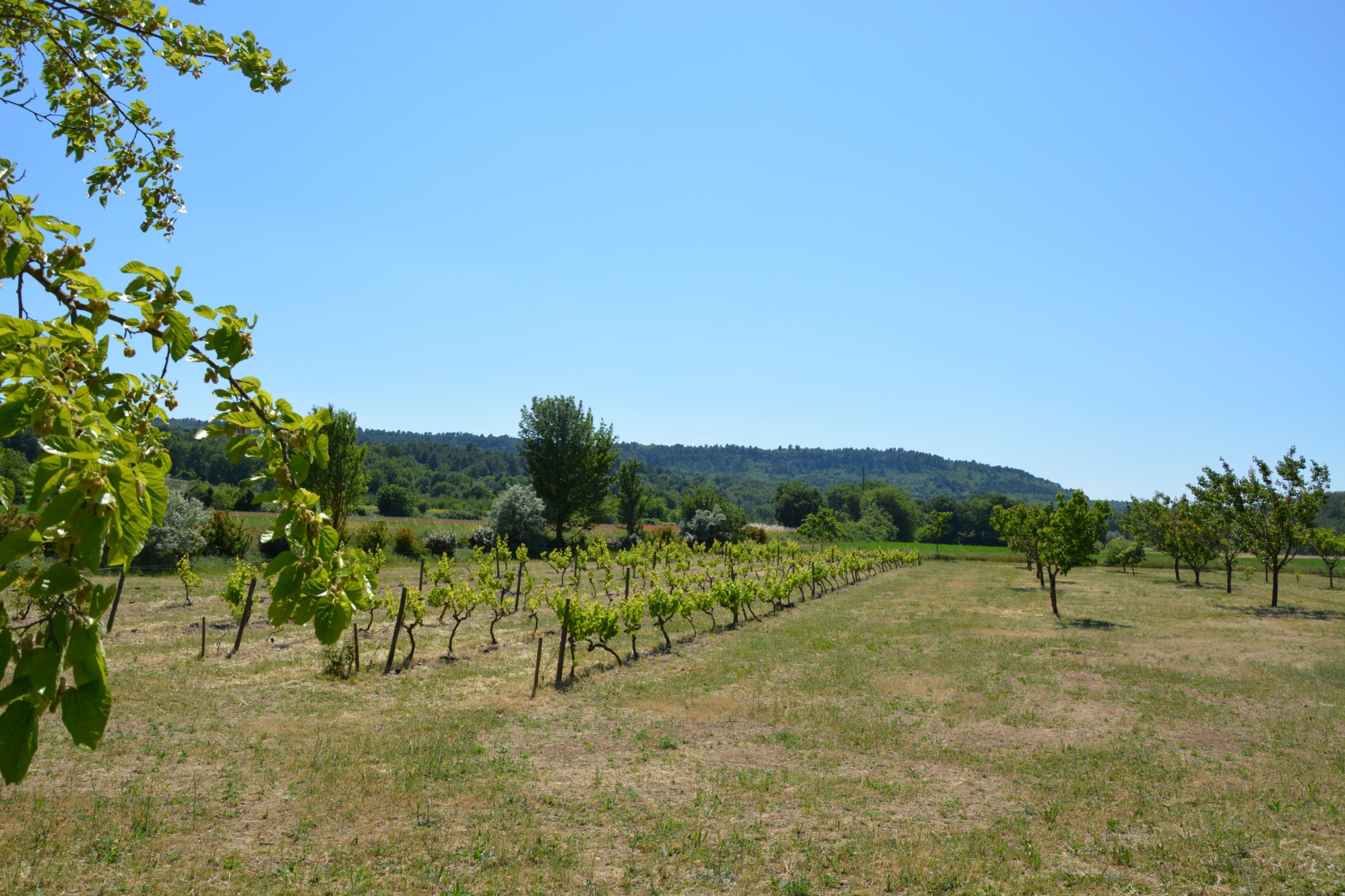 A proximité des plus beaux villages du Luberon, authentique mas provençal   