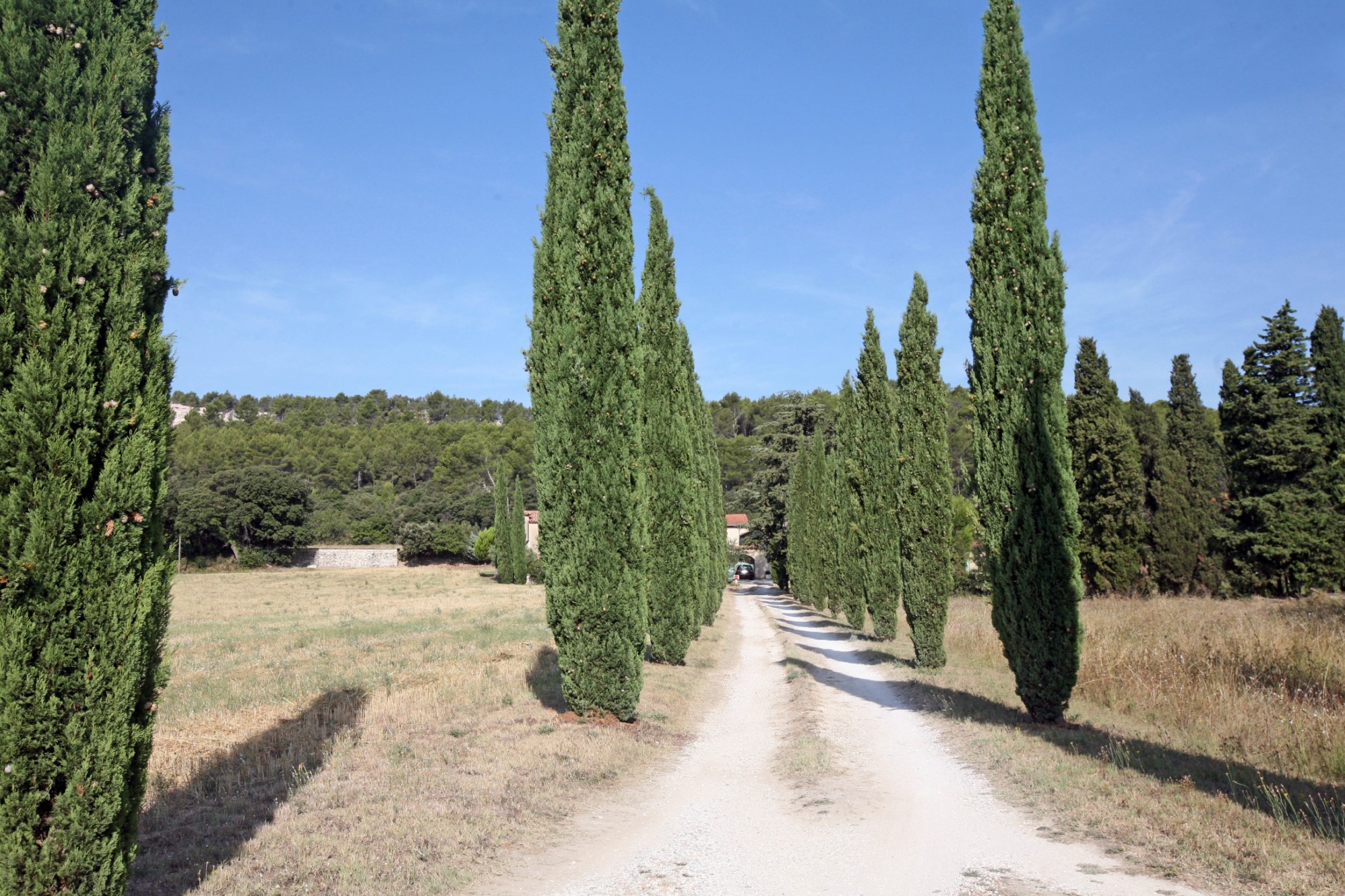 A vendre entre Alpilles et Luberon,   domaine de 7,38 hectares avec plus de 600 m² de bâti