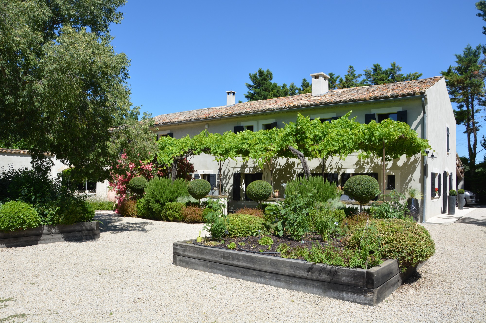 A vendre dans les Alpilles, entre St-Rémy-de-Provence et Avignon, mas rénové avec soin    