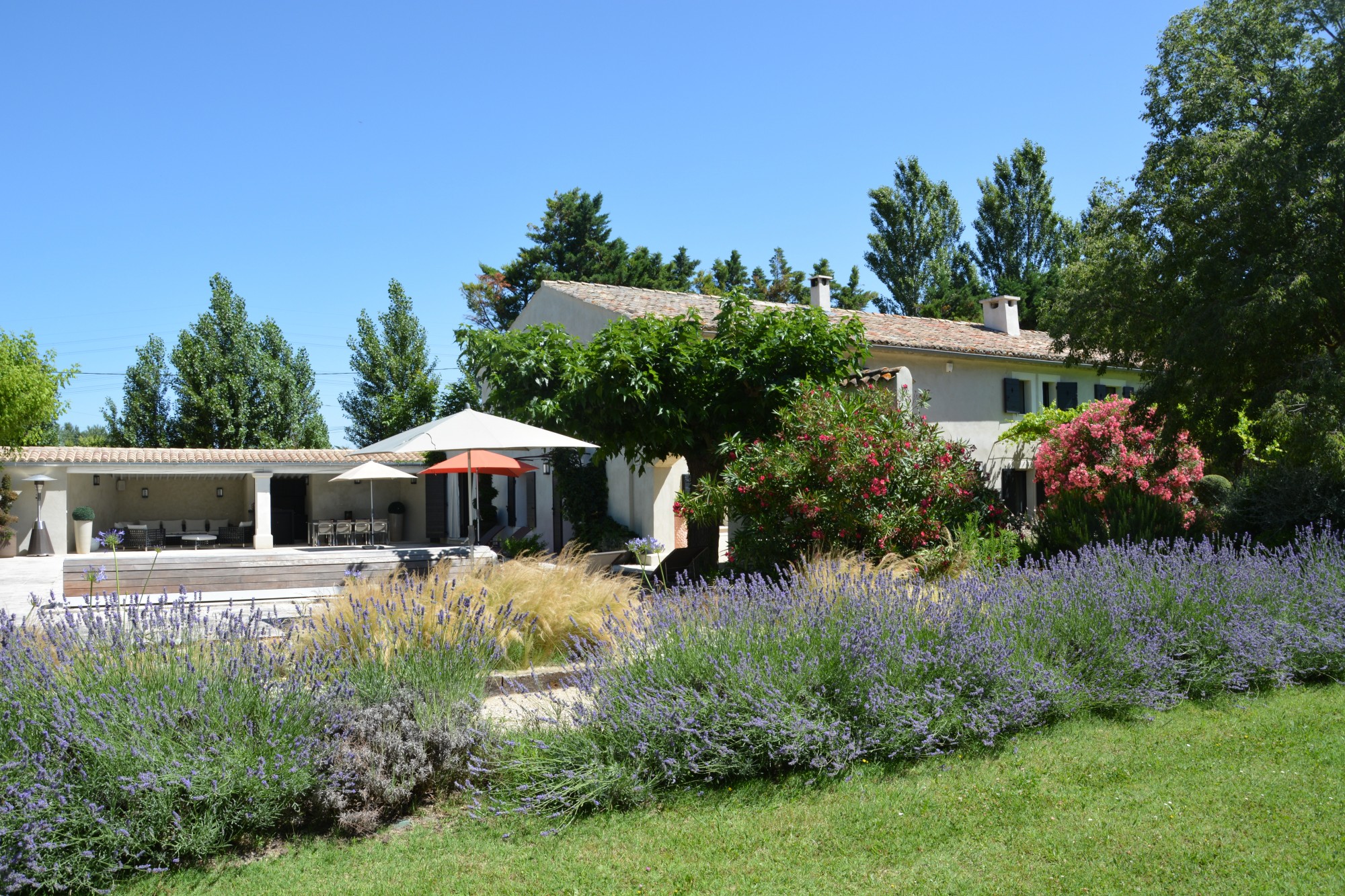 A vendre dans les Alpilles, entre St-Rémy-de-Provence et Avignon, mas rénové avec soin    