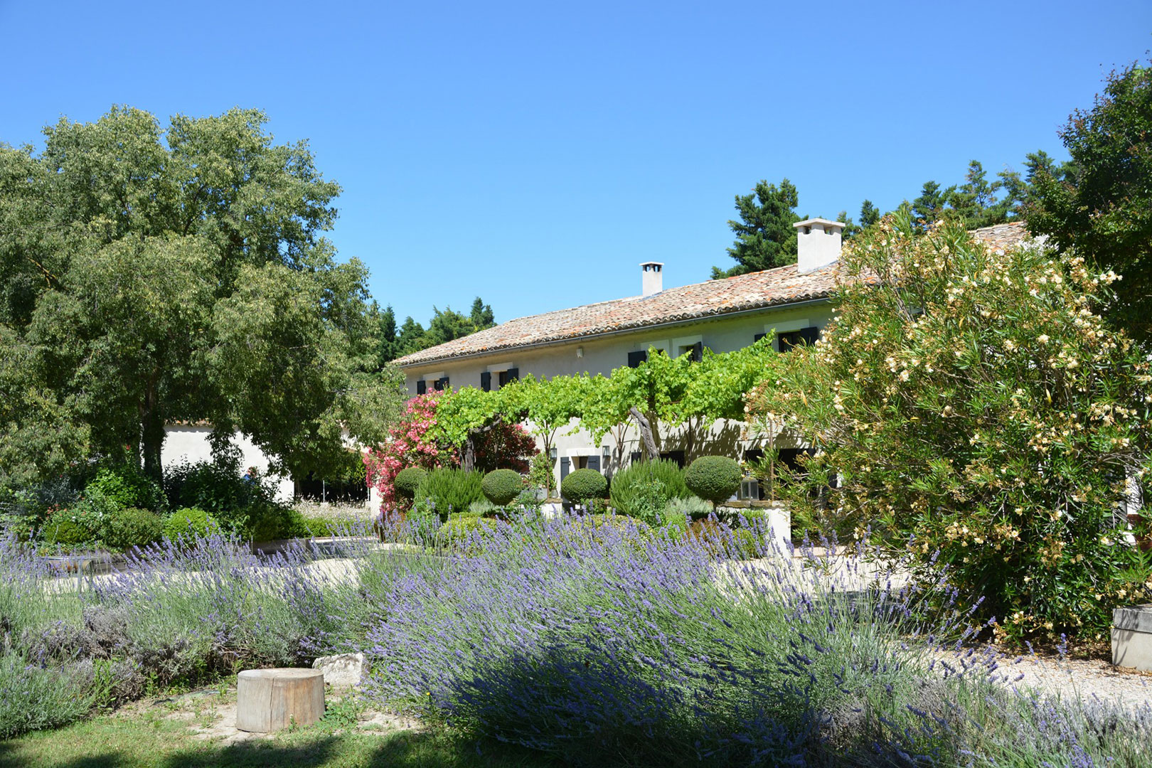 A vendre dans les Alpilles, entre St-Rémy-de-Provence et Avignon, mas rénové avec soin    