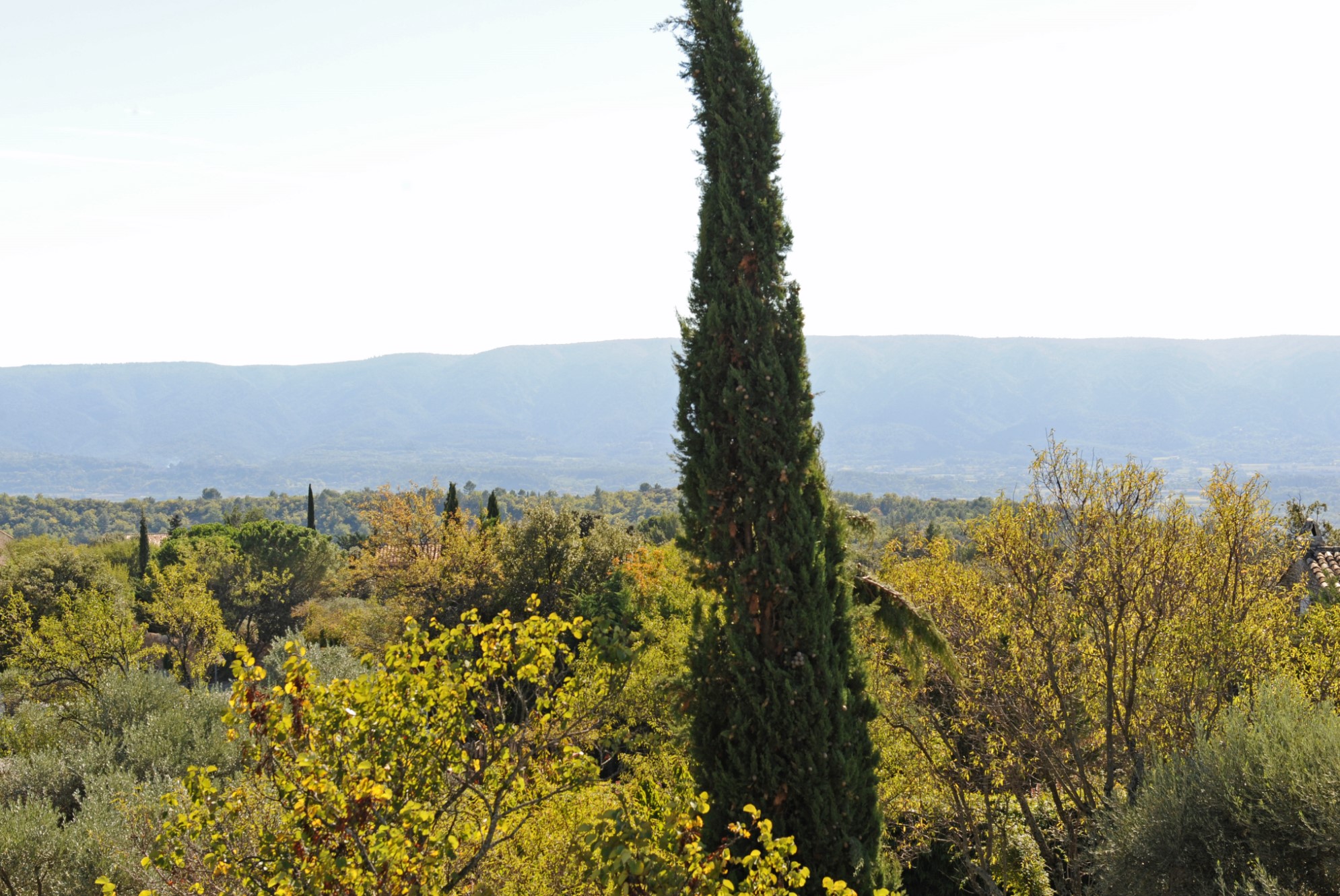 Proche du cœur du village de Gordes, propriété avec vue à vendre    