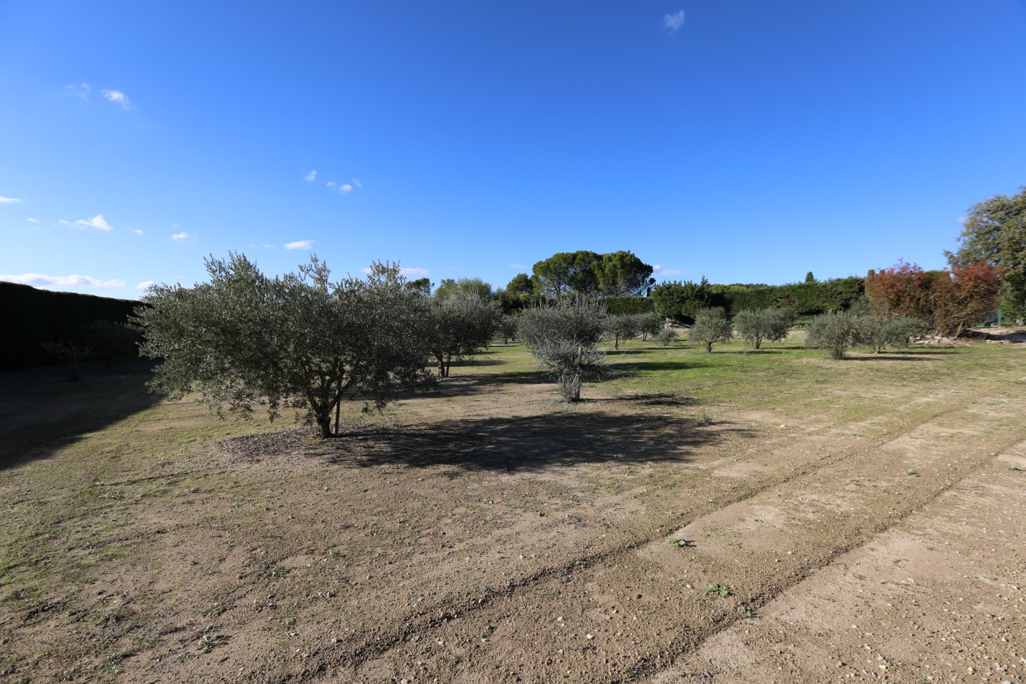 Terrain constructible avec vue à vendre dans le Luberon