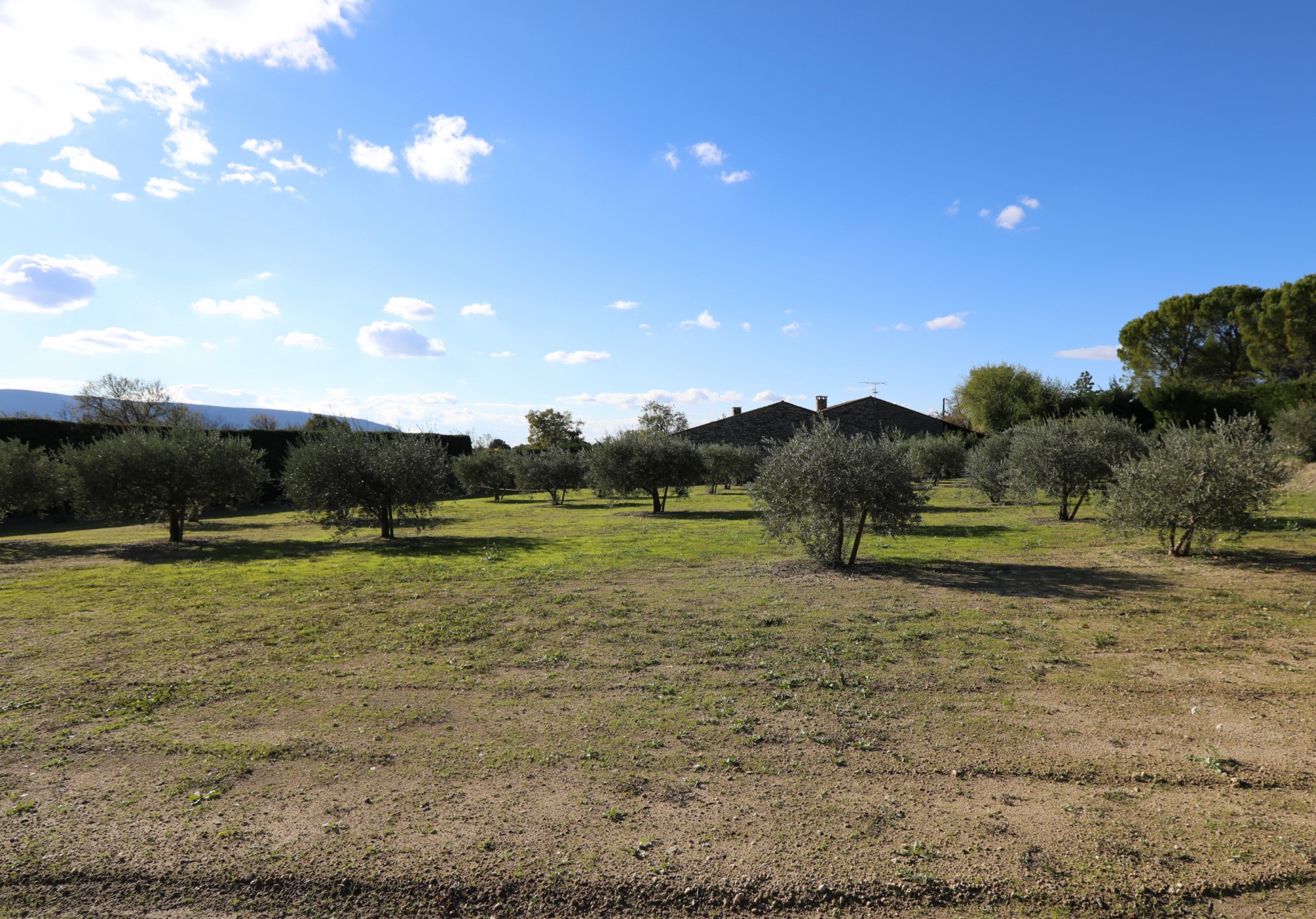Terrain constructible à vendre dans le Luberon