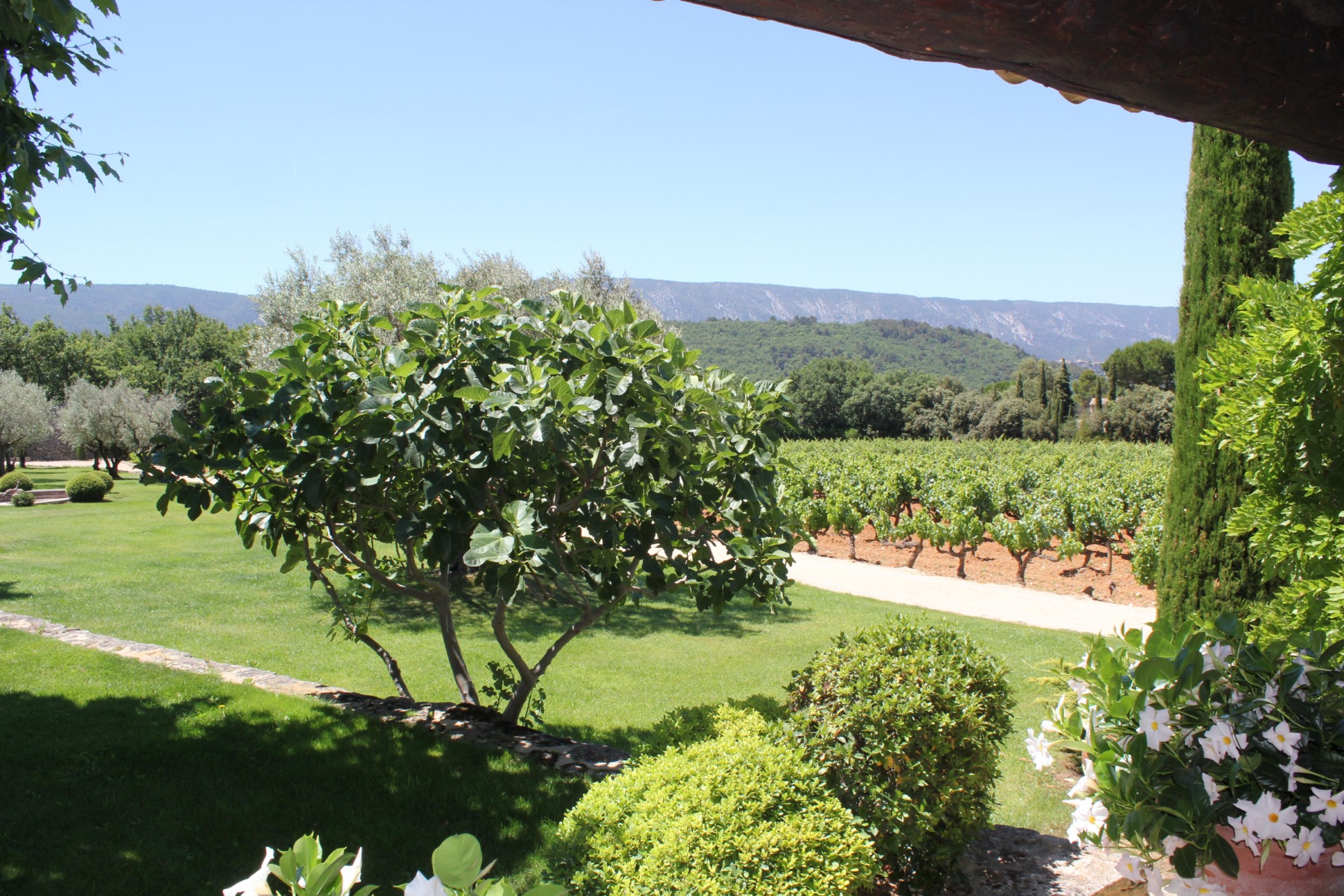 Propriété avec vue sur le Luberon à vendre