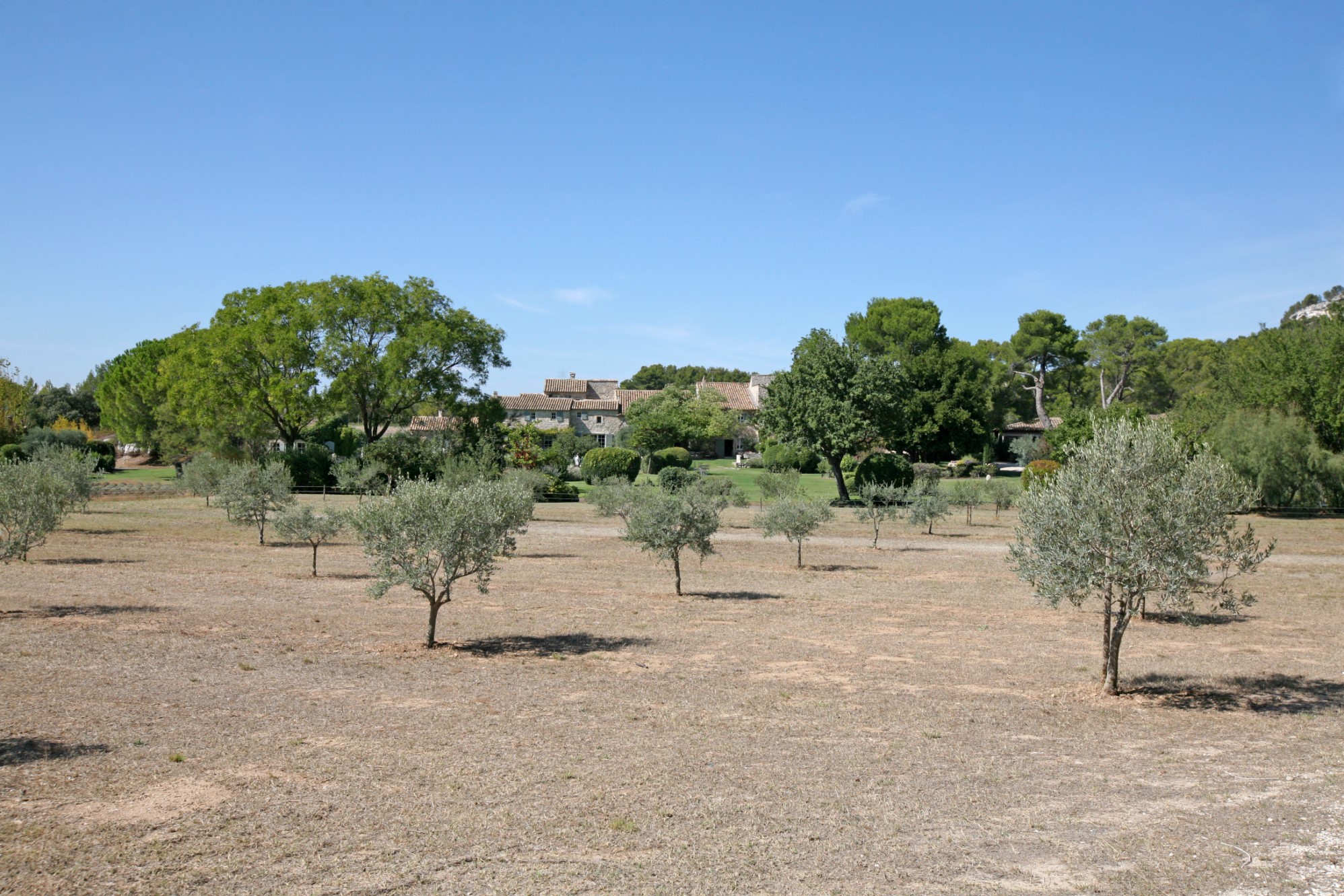 BIEN VENDU - A vendre dans les Alpilles, chambres d'hôtes et restaurant dans mas ancien sur 23 ha.