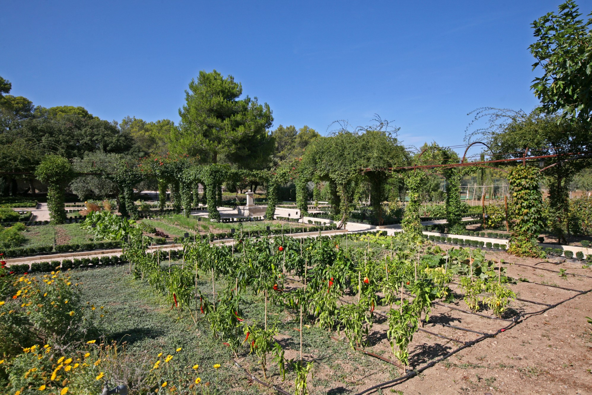 BIEN VENDU - A vendre dans les Alpilles, chambres d'hôtes et restaurant dans mas ancien sur 23 ha.