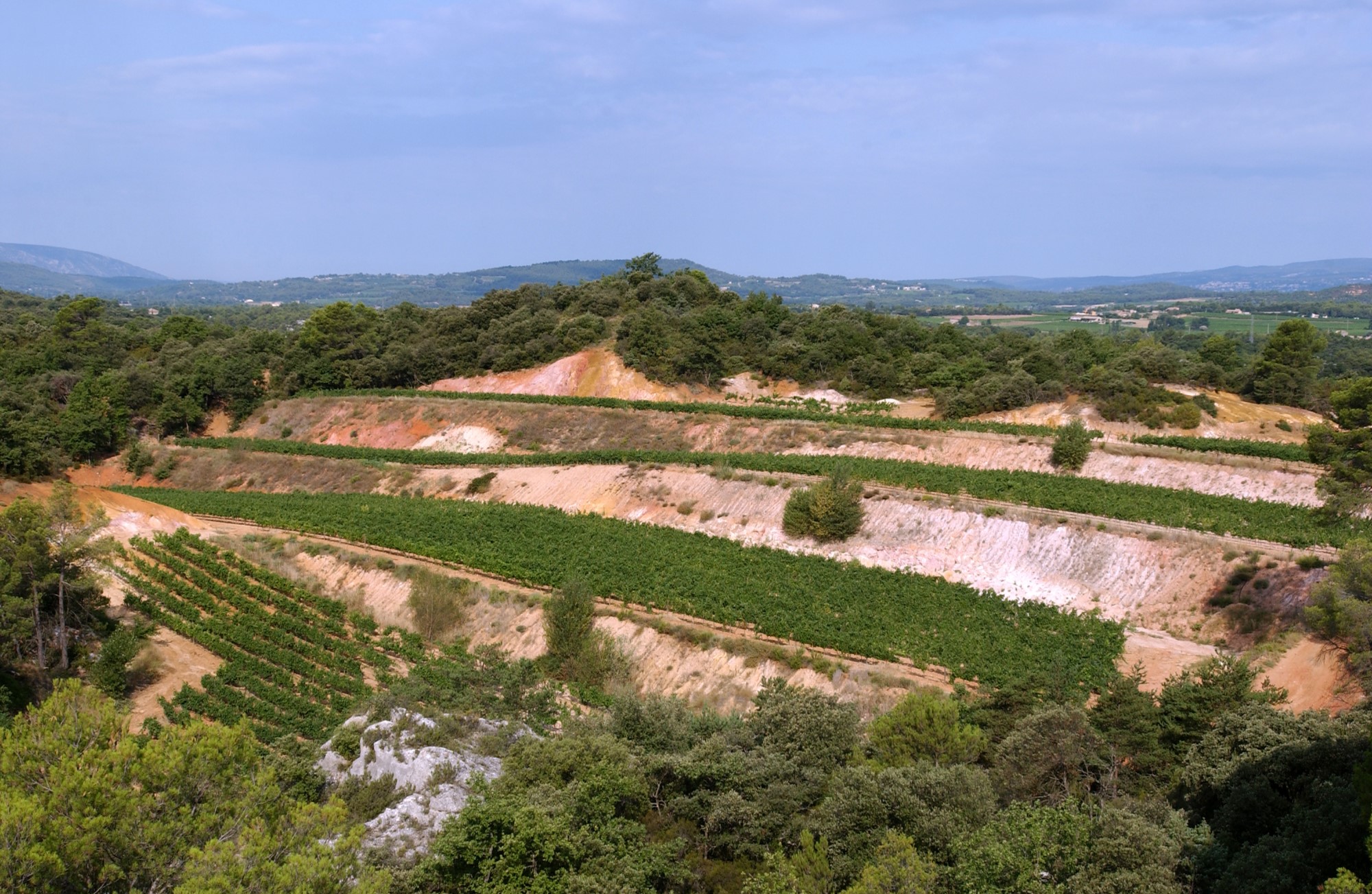A vendre en Luberon, belle propriété viticole de 100 hectares   