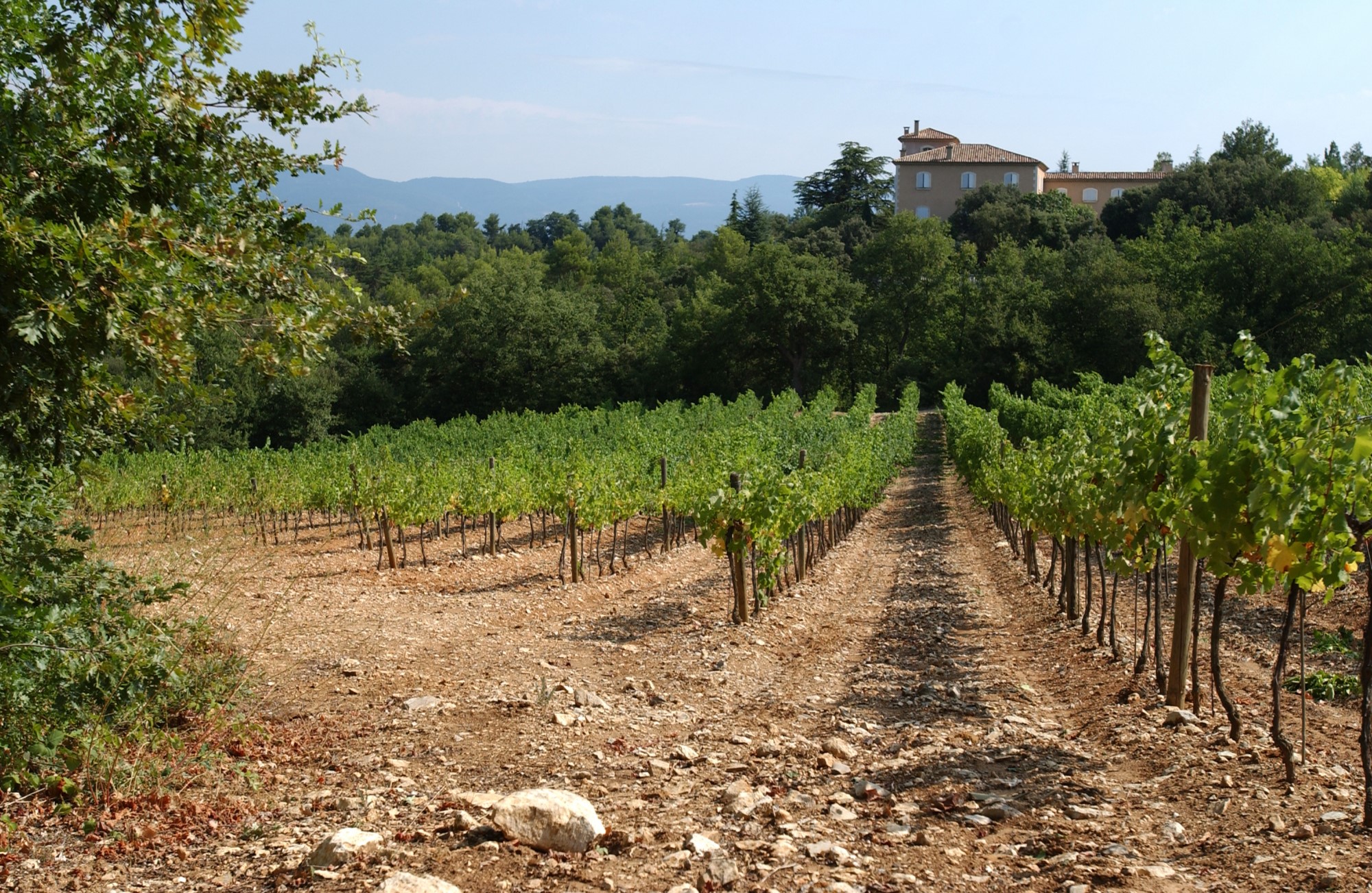 Propriété avec maison d'amis et maison de gardien en Luberon