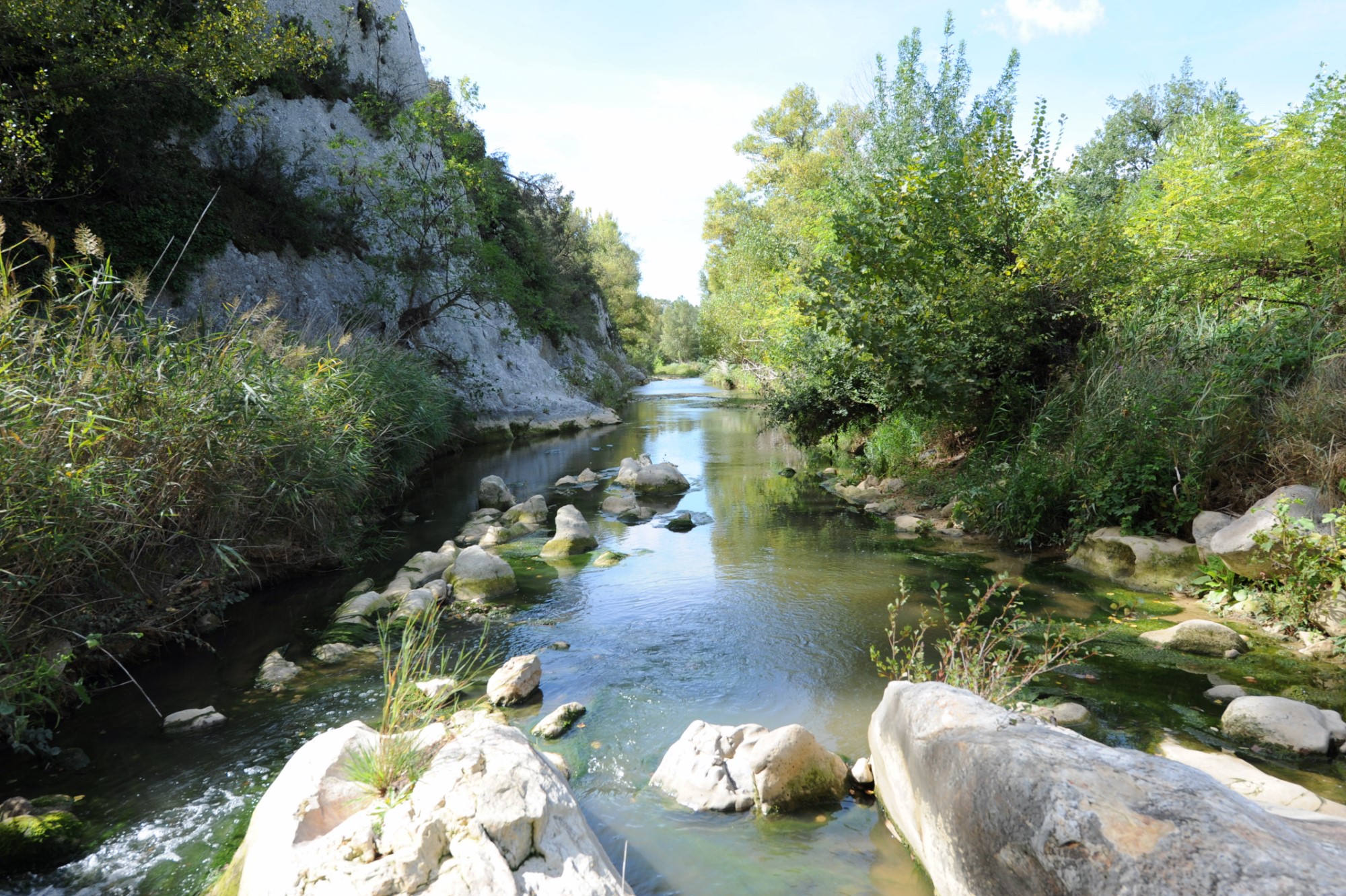 A vendre en Luberon, belle propriété viticole de 100 hectares   