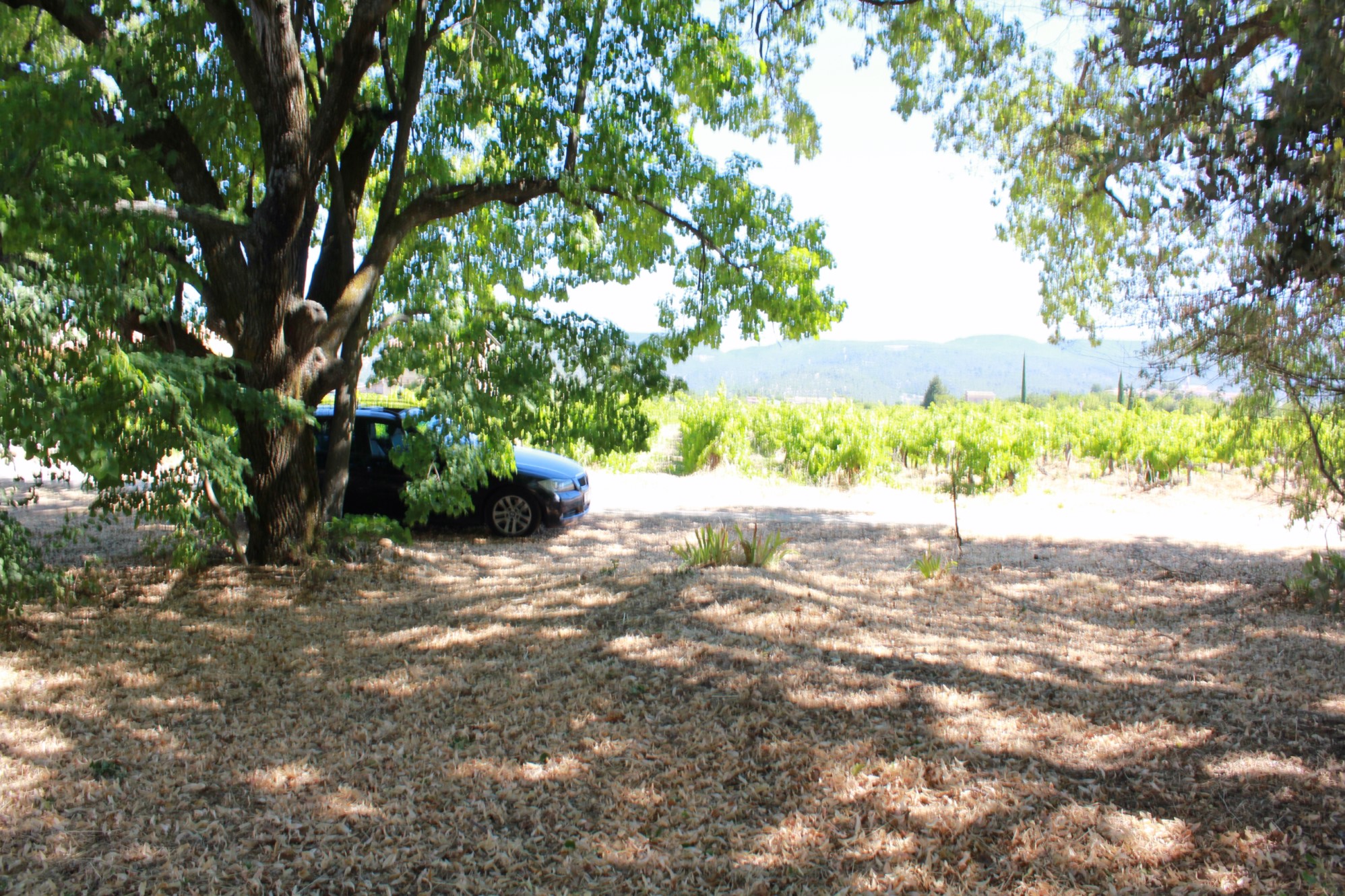 Terrain constructible au cœur du Luberon