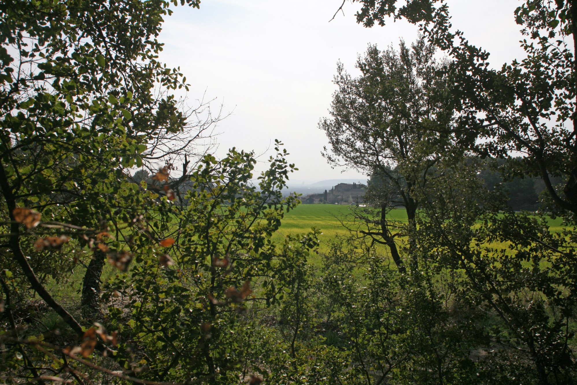 A vendre à Lagnes, maison traditionnelle sur beau terrain    