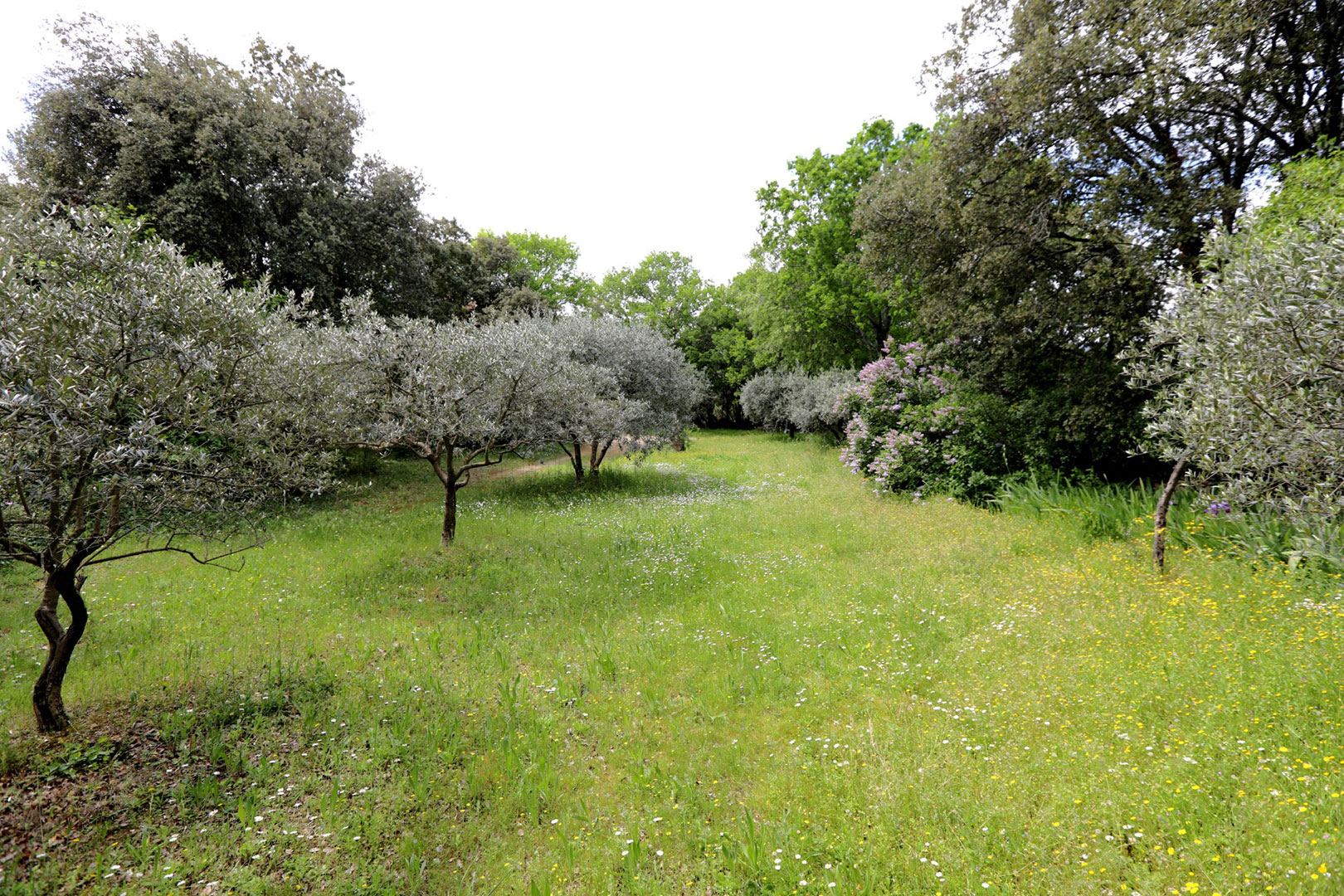 Proche de Gordes, charmante maison avec vues   