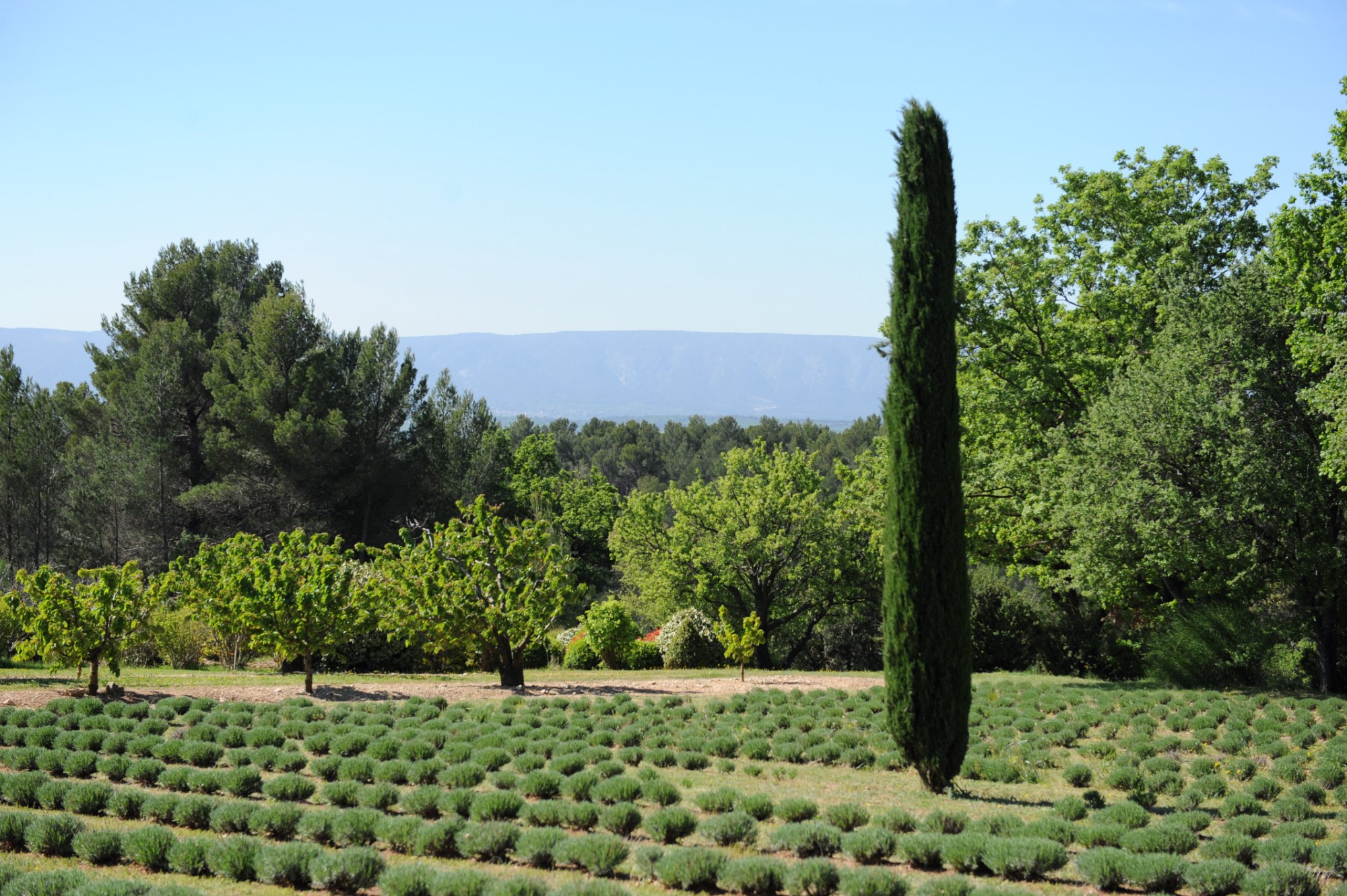 exceptionnelle propriété d'agrément avec dépendances sur 9,5 hectares face au Luberon   
