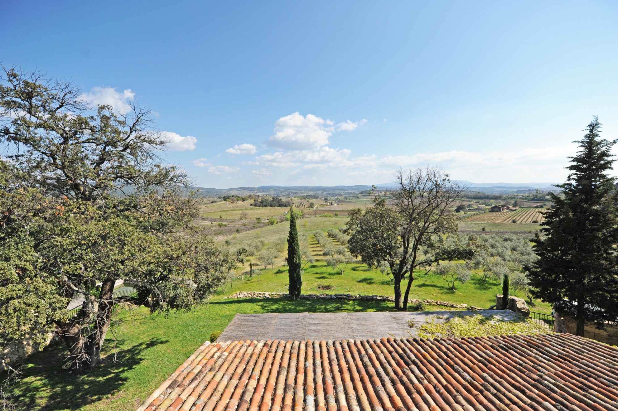 Luberon Sud, à vendre,   propriété oléicole en position dominante