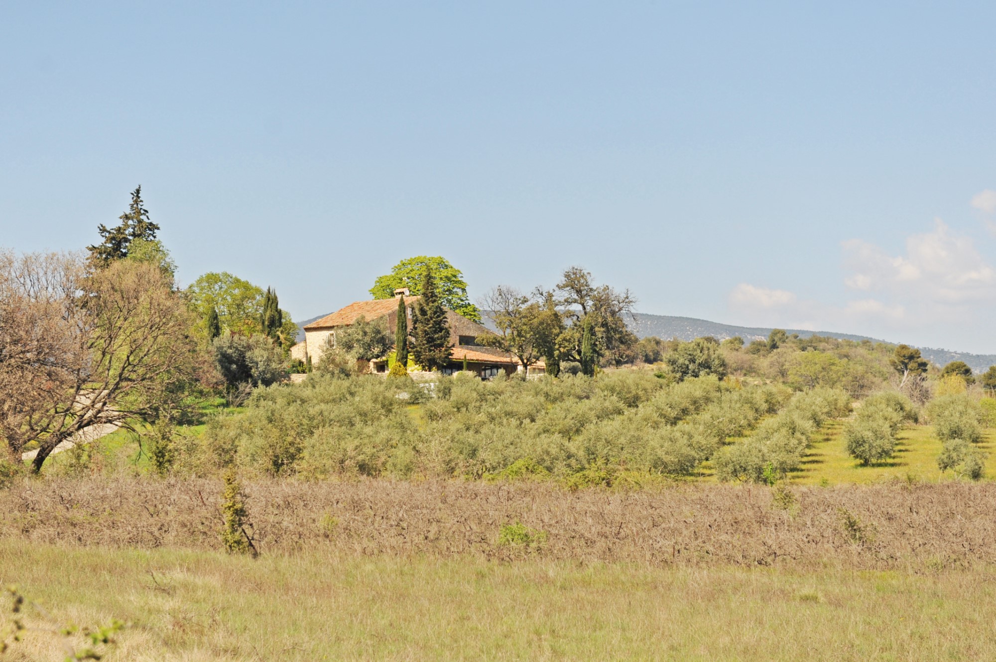 Luberon Sud, à vendre,   propriété oléicole en position dominante