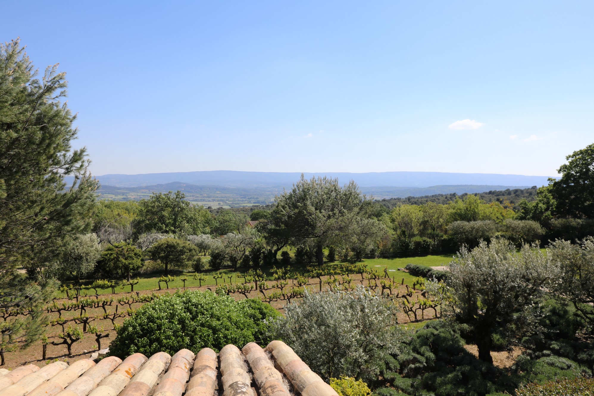 Superbe propriété de trois habitations, avec piscine, à vendre face au Luberon   
