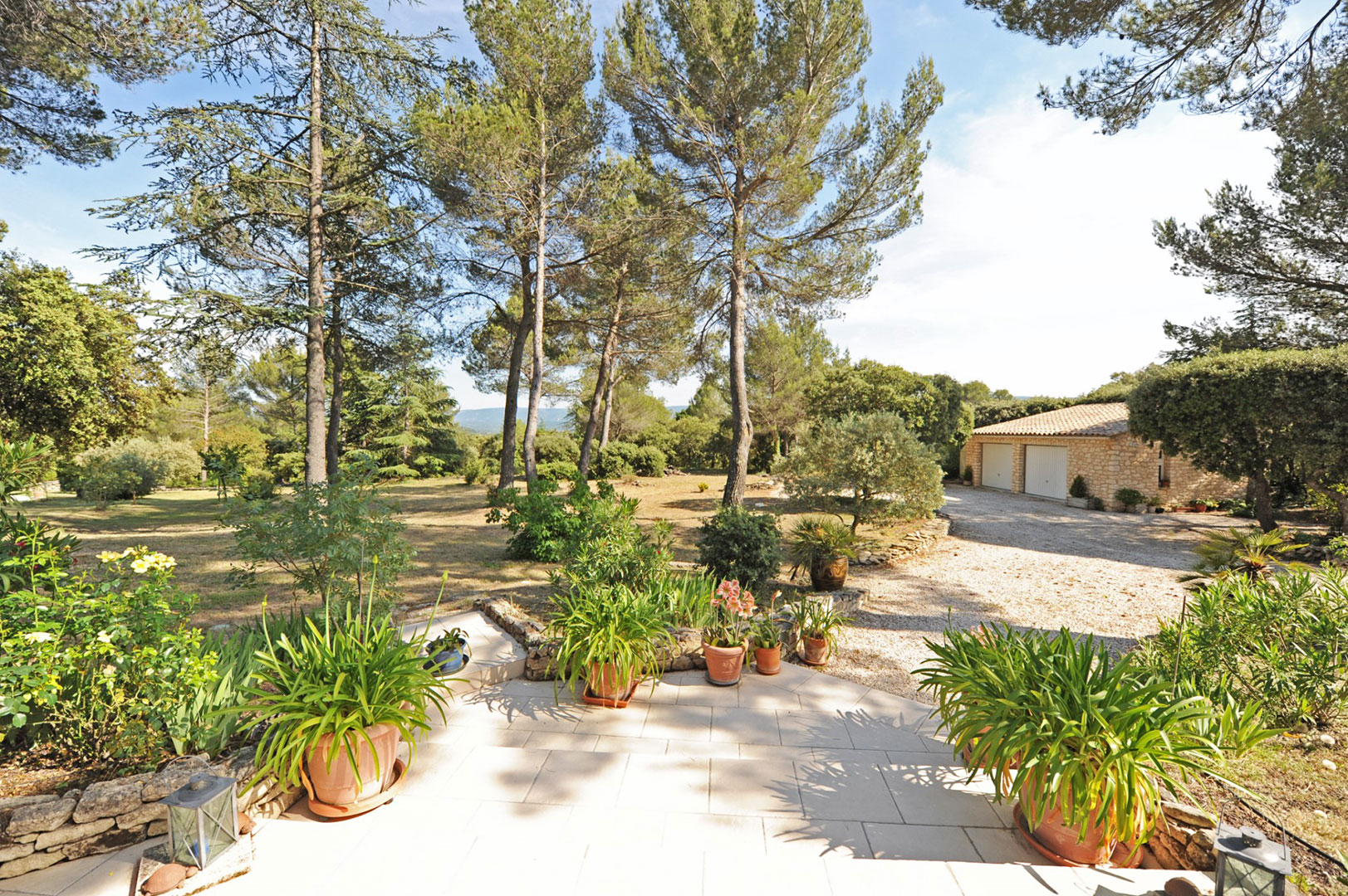Maison dans la pinède
