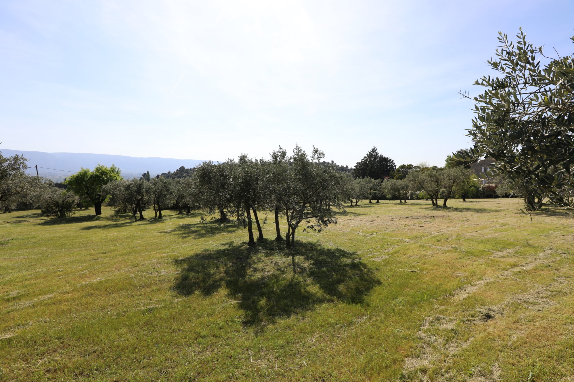 Un lieu d'exception, à vendre à Gordes, face au Luberon   
