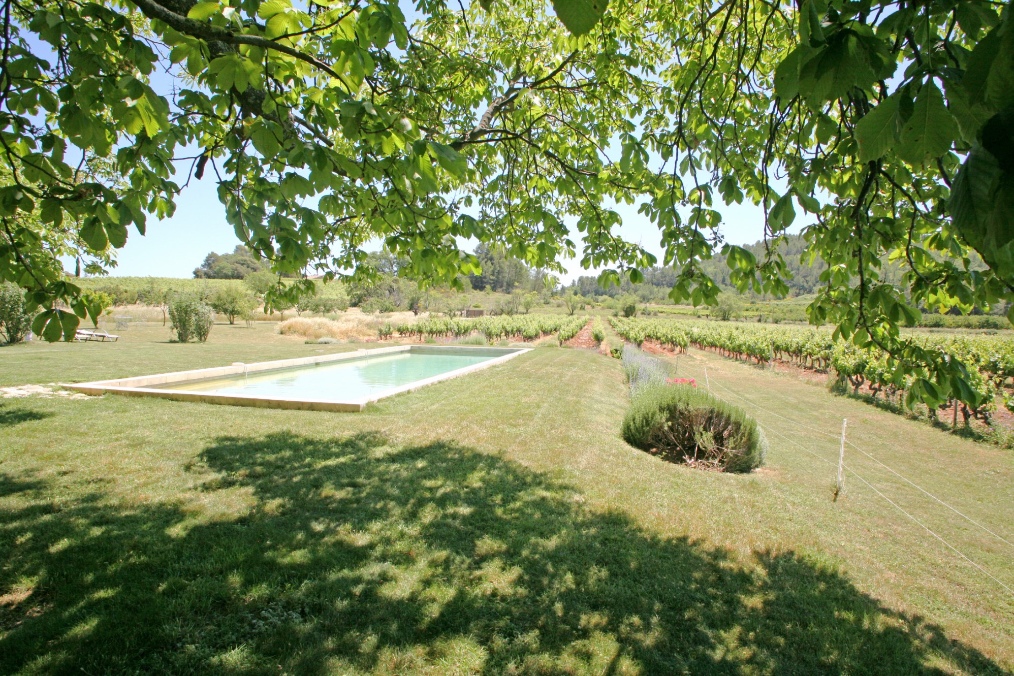 Bastide avec piscine en Provence