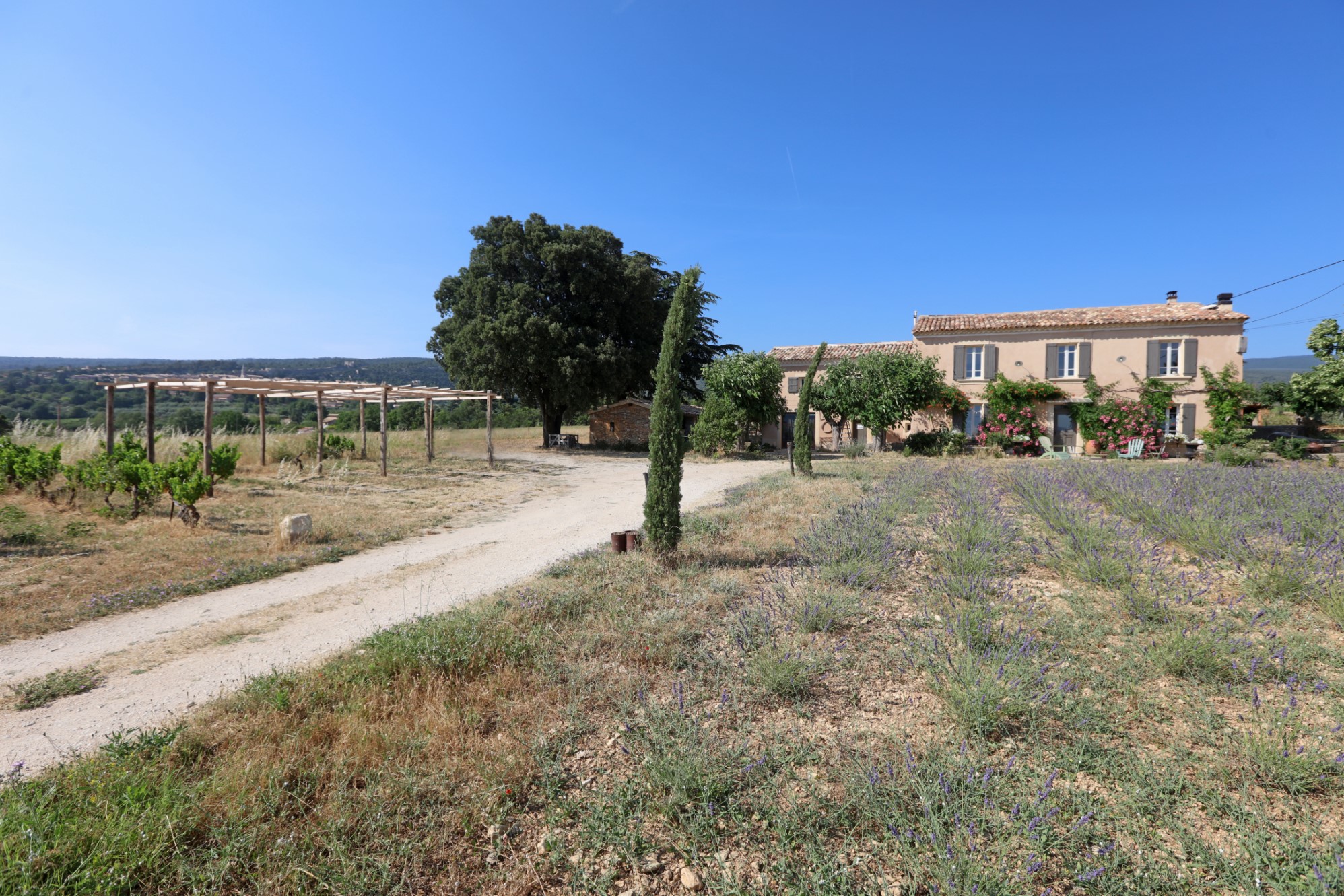 Propriété de charme en Provence