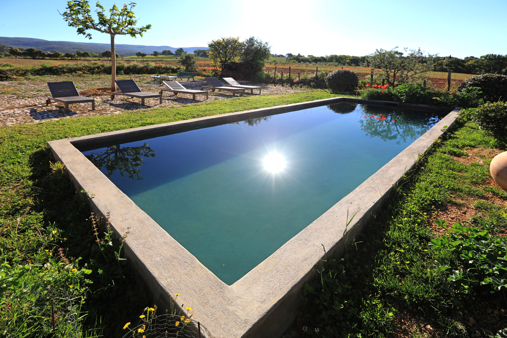 Piscine du mas au cœur du Luberon