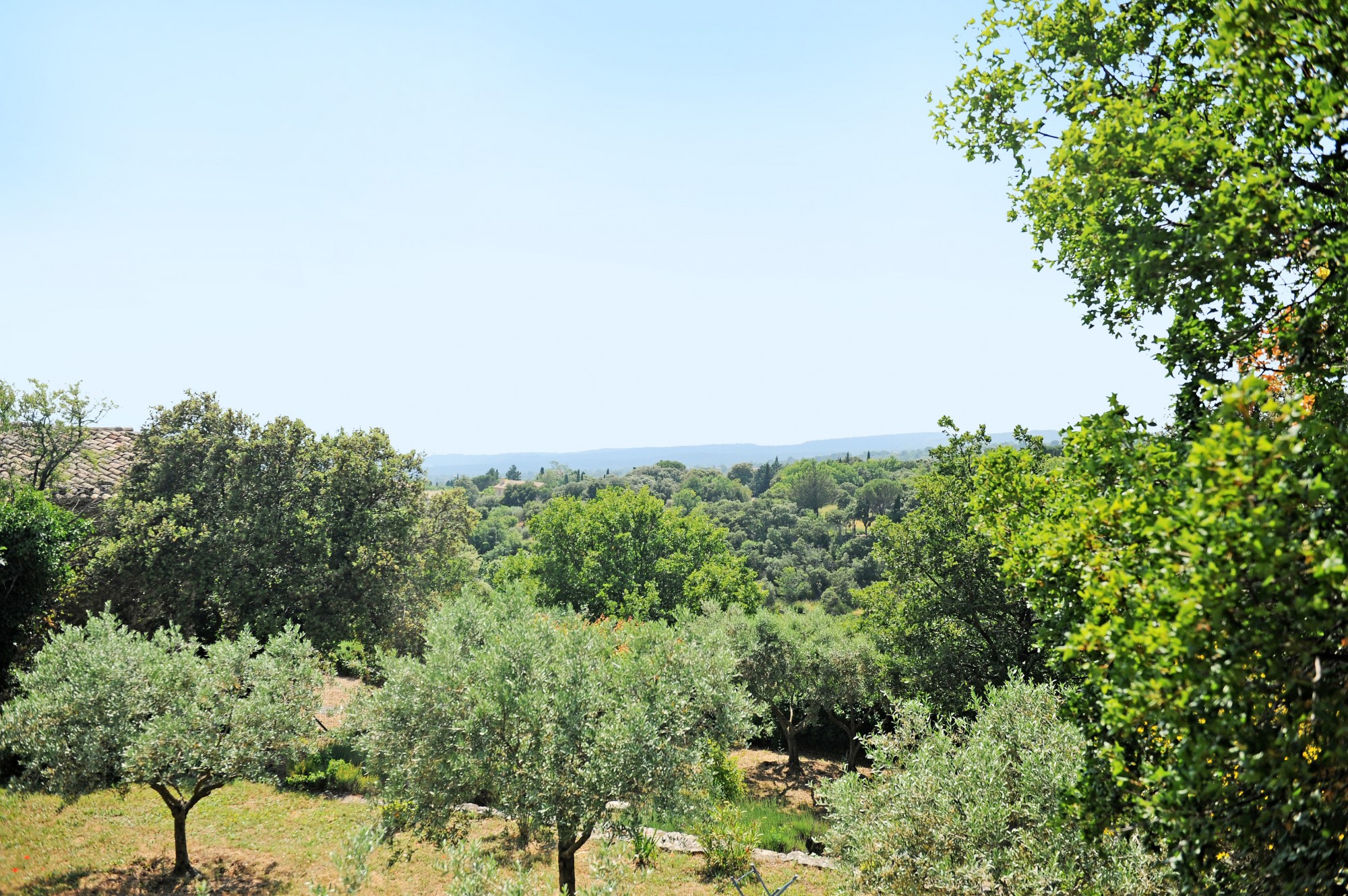 La vue par dessus les oliviers, Gordes.