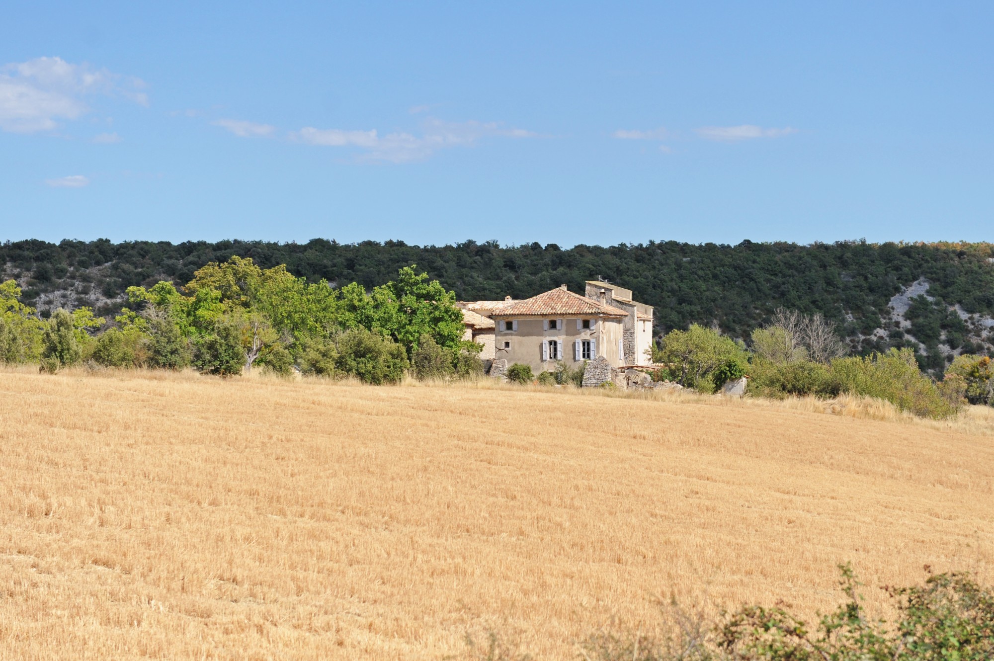 Belle maison de Maître rénovée sur 1,2 hectare   