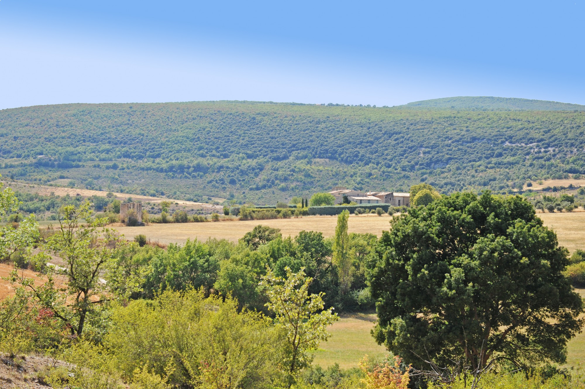 Proche Rustrel - Superbe bâtisse en pierre à rénover sur 7 hectares   