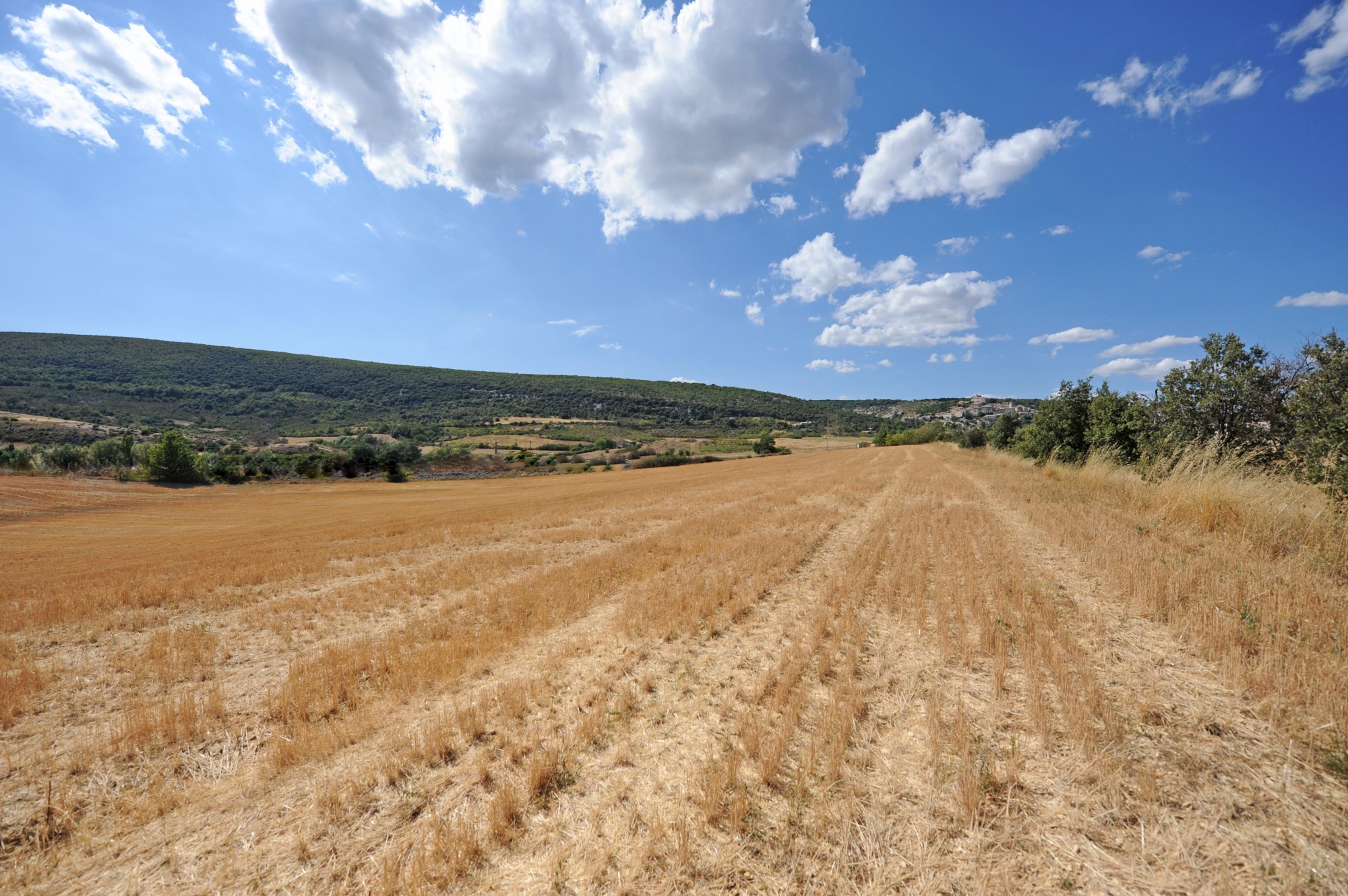 Proche Rustrel - Superbe bâtisse en pierre à rénover sur 7 hectares   
