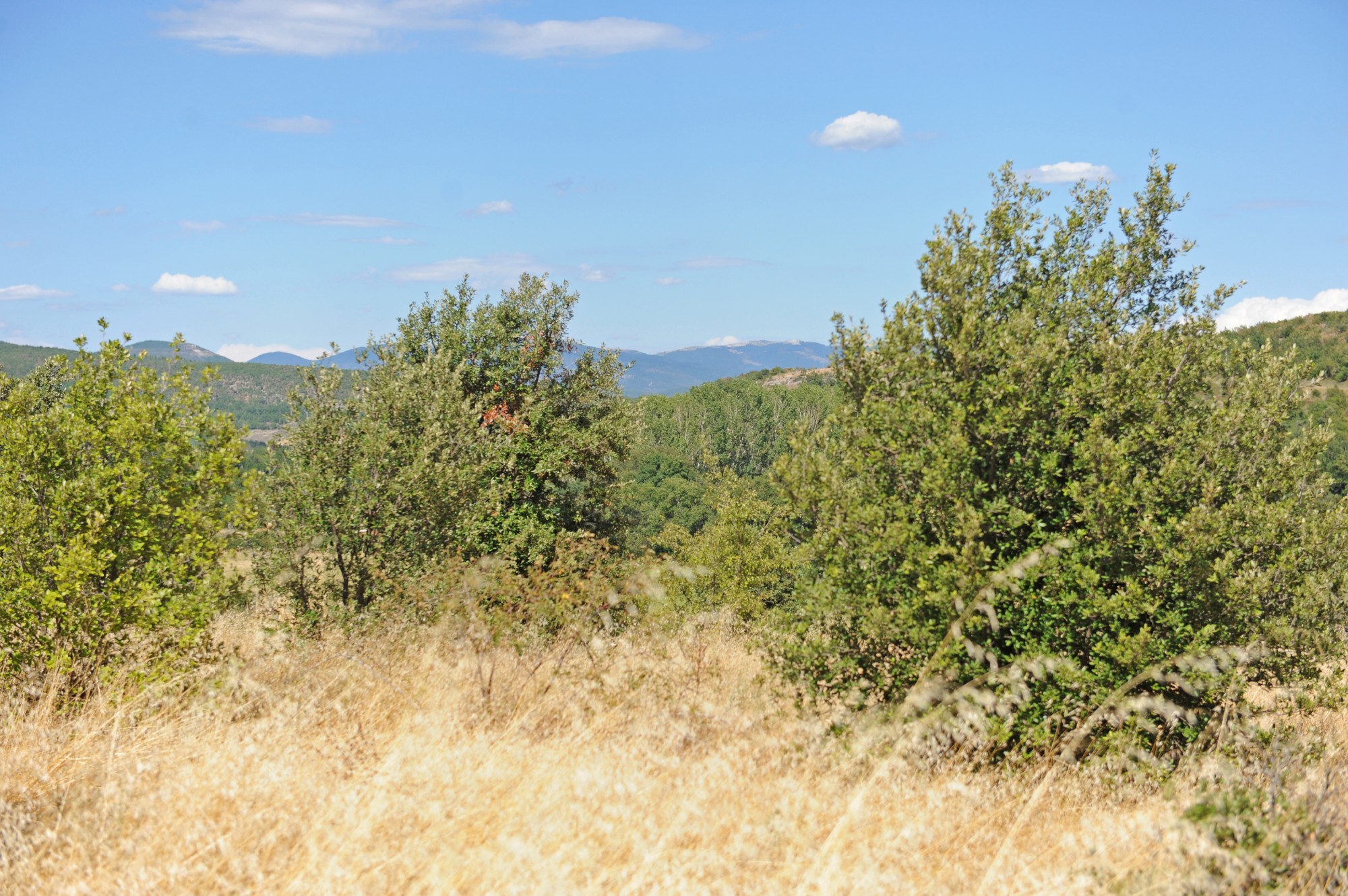 Proche Rustrel - Superbe bâtisse en pierre à rénover sur 7 hectares   