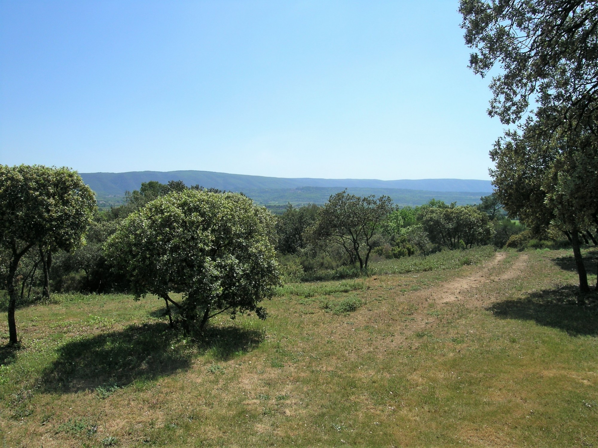 Au cœur du Luberon, Bastide avec cour fermée sur plus de 7 hectares   