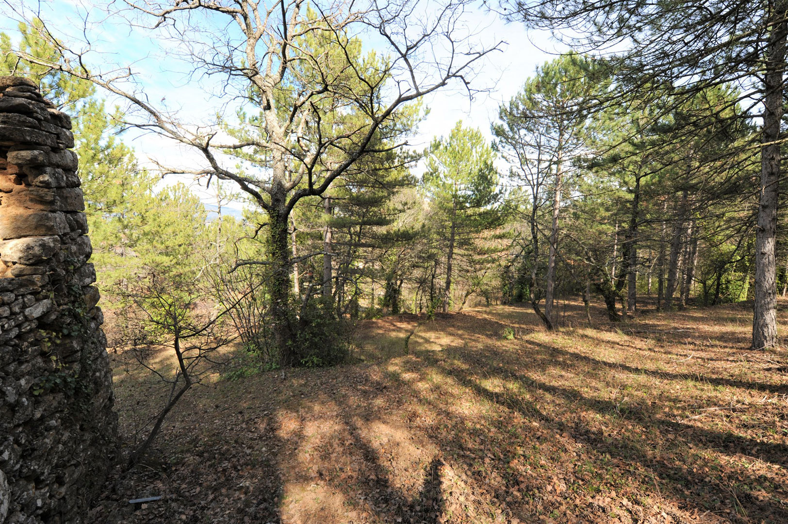 Belle maison en pierre en position dominante sur 1,3 hectare   