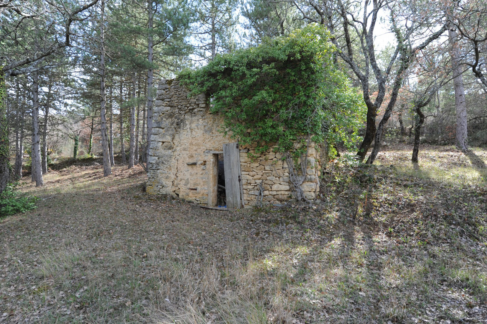 Belle maison en pierre en position dominante sur 1,3 hectare   