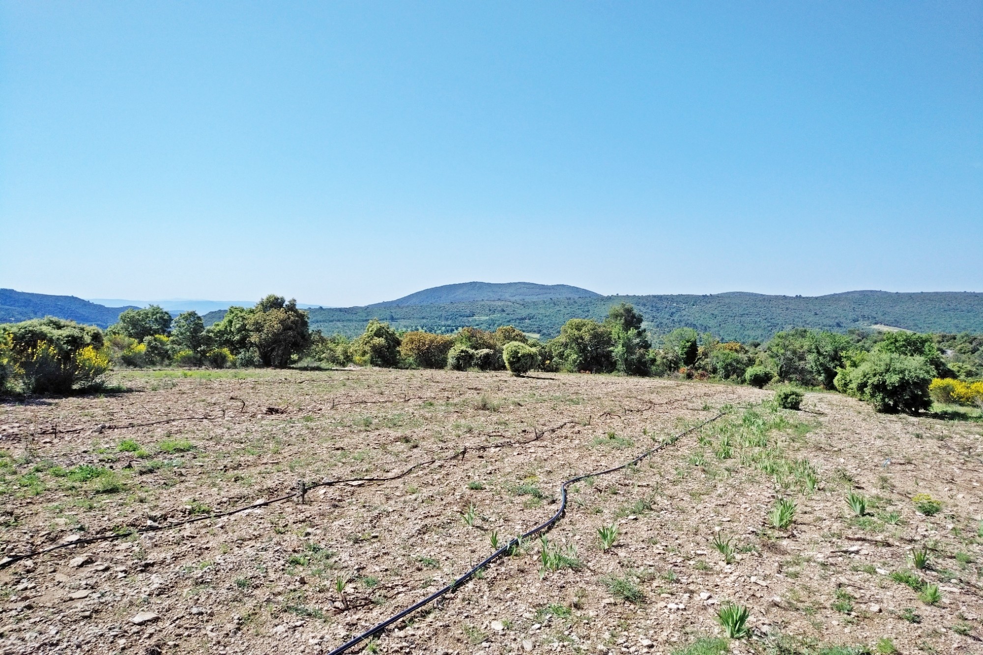 Luberon nature Lourmarin