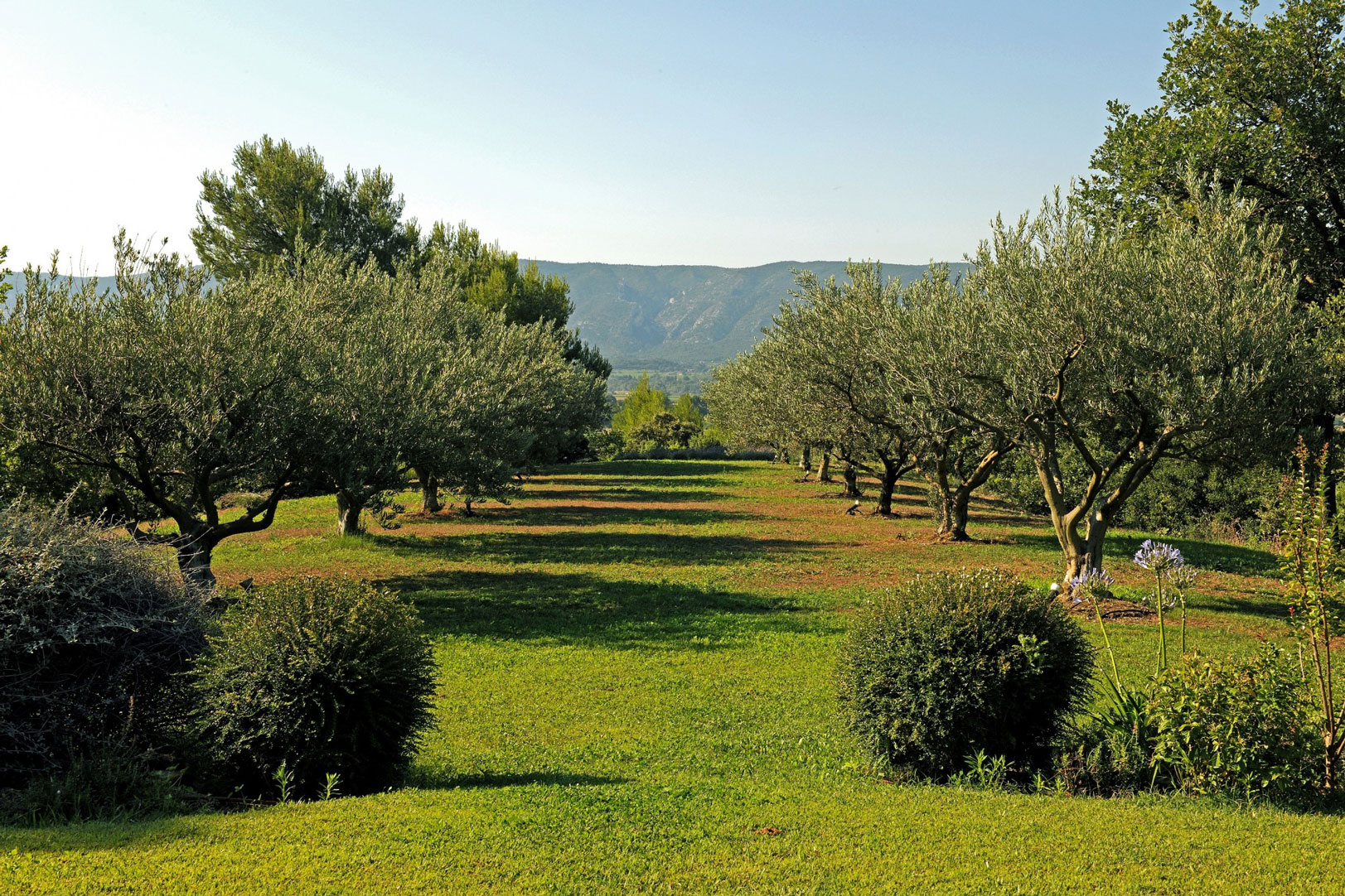 Propriété contemporaine avec 2 piscines proche de Gordes   