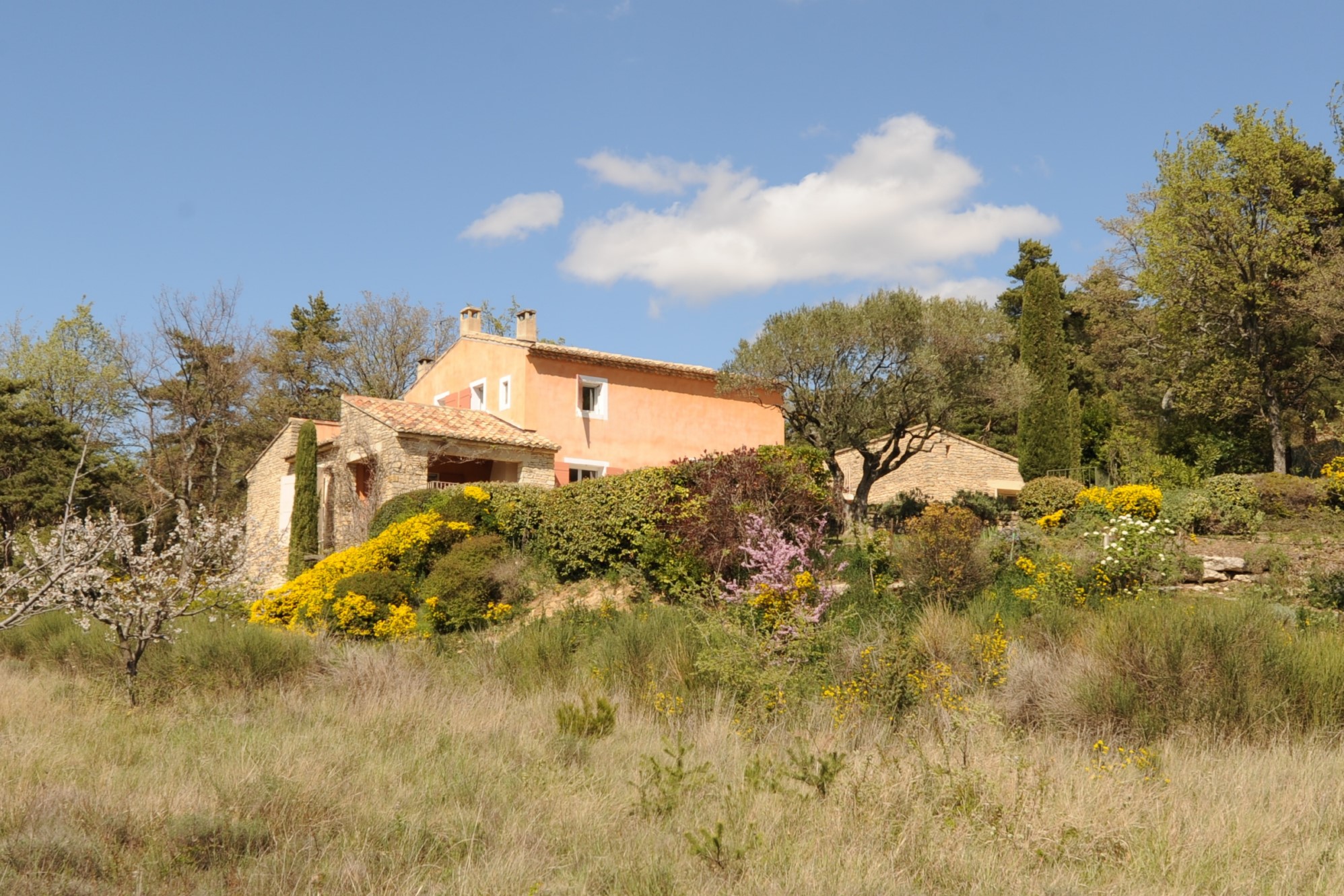Maison contemporaine avec piscine en position dominante   
