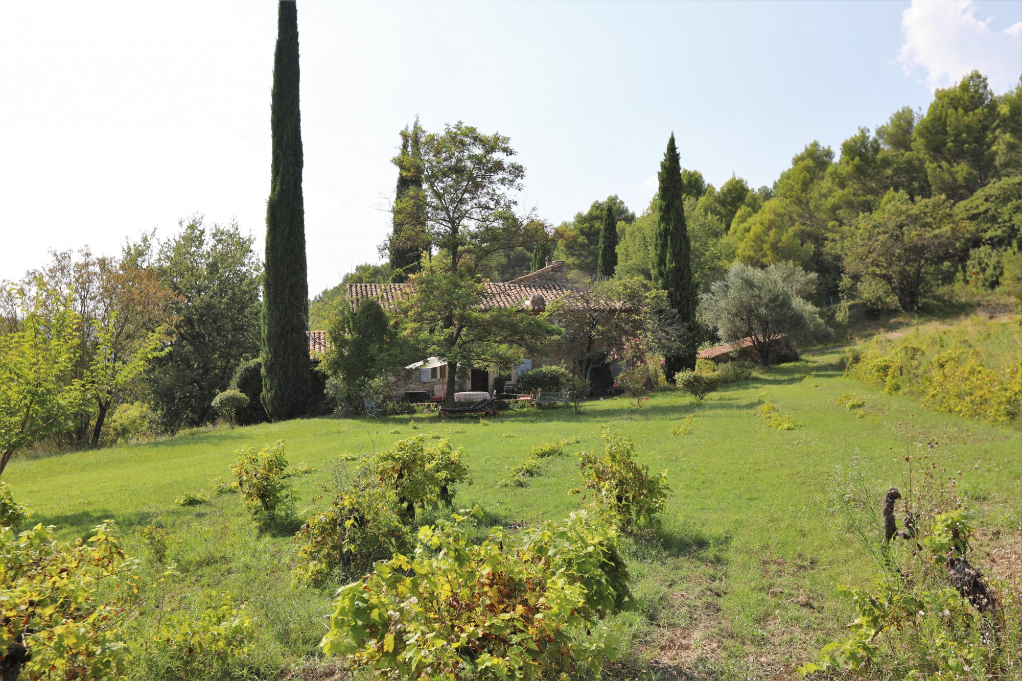 Superbe propriété en Luberon sur plus de 9 hectares   