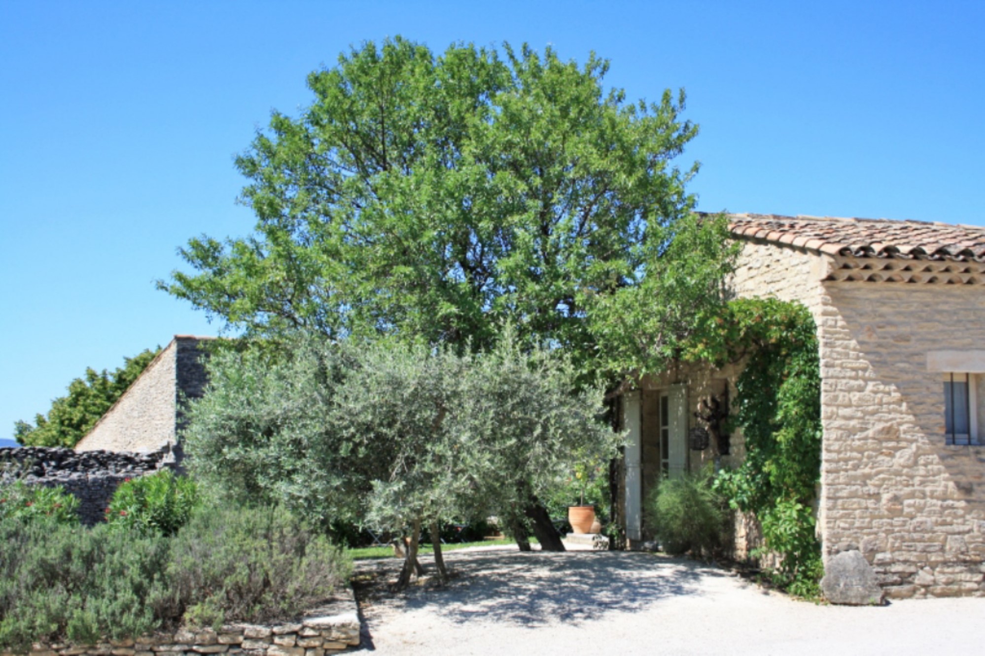 Propriété de village au centre de Gordes avec piscine et spa   