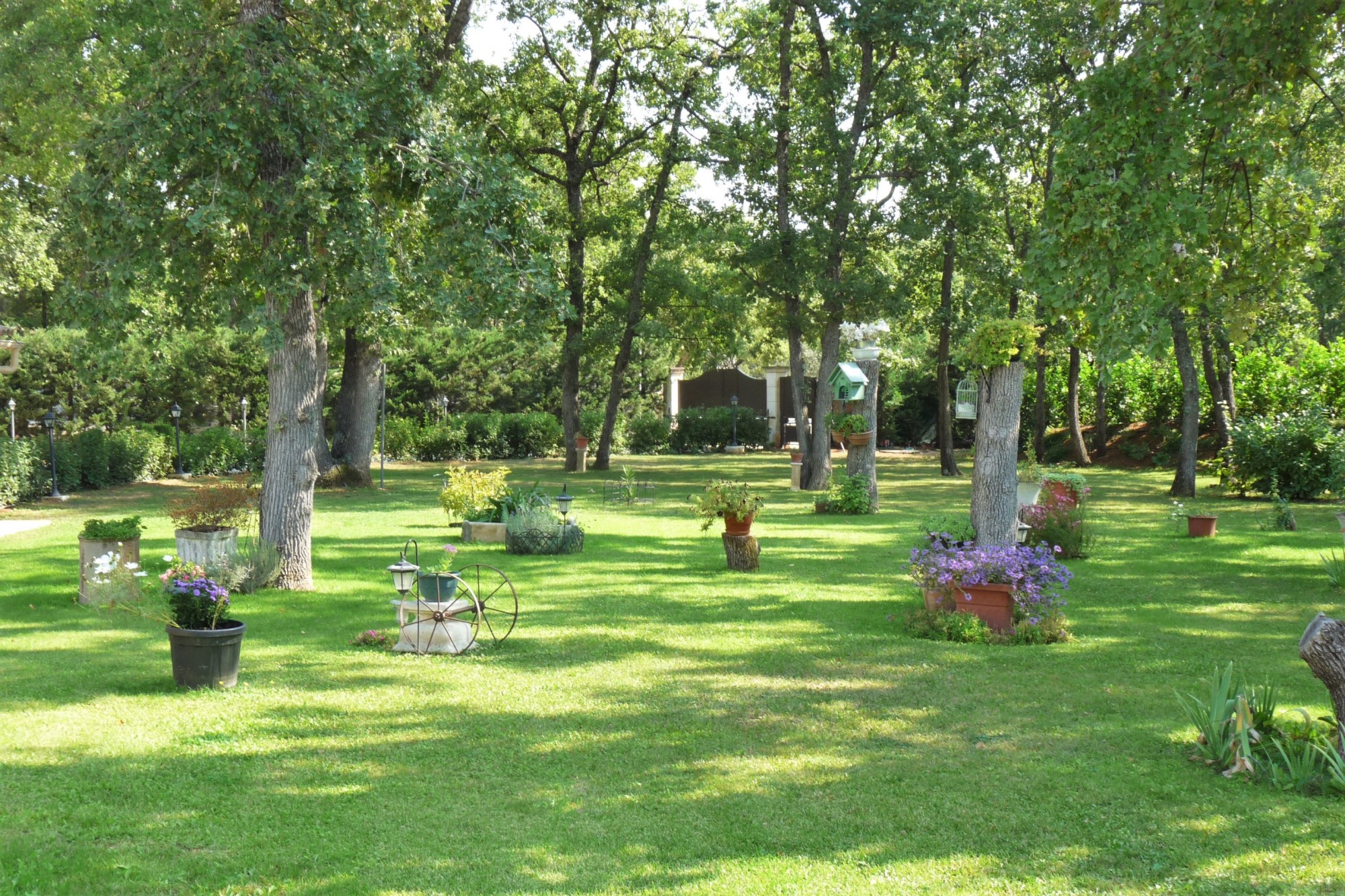 En Luberon, au cœur d’une chênaie, maison avec dépendances et piscine.   