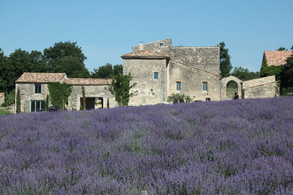 En vente en Provence, en Luberon,  domaine du XVIIème siècle entièrement rénové, constitué de plusieurs bâtiments  pour un ensemble de 1100 m² sur un terrain de 10 hectares 