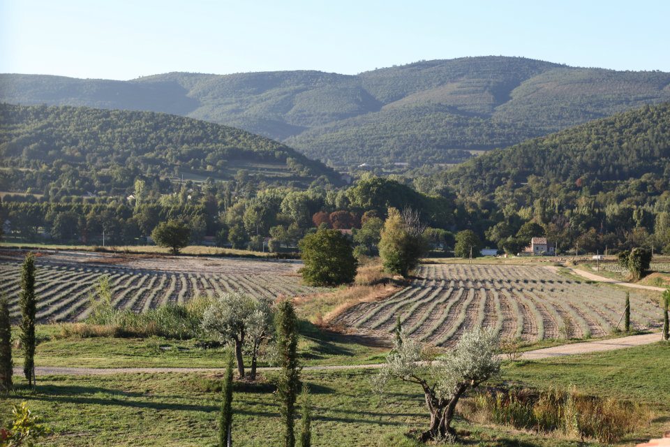 En vente en Provence, en Luberon,  domaine du XVIIème siècle entièrement rénové, constitué de plusieurs bâtiments  pour un ensemble de 1100 m² sur un terrain de 10 hectares 