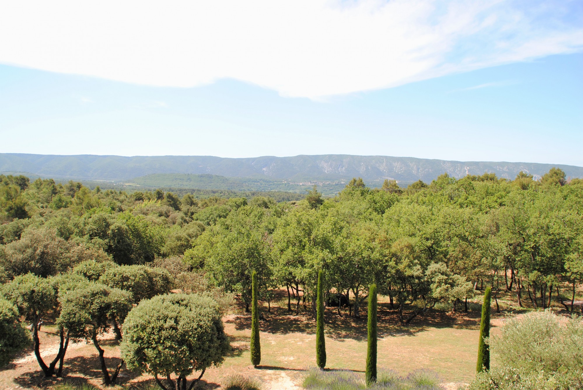 à Goult, belle Bastide avec piscine et dépendances   