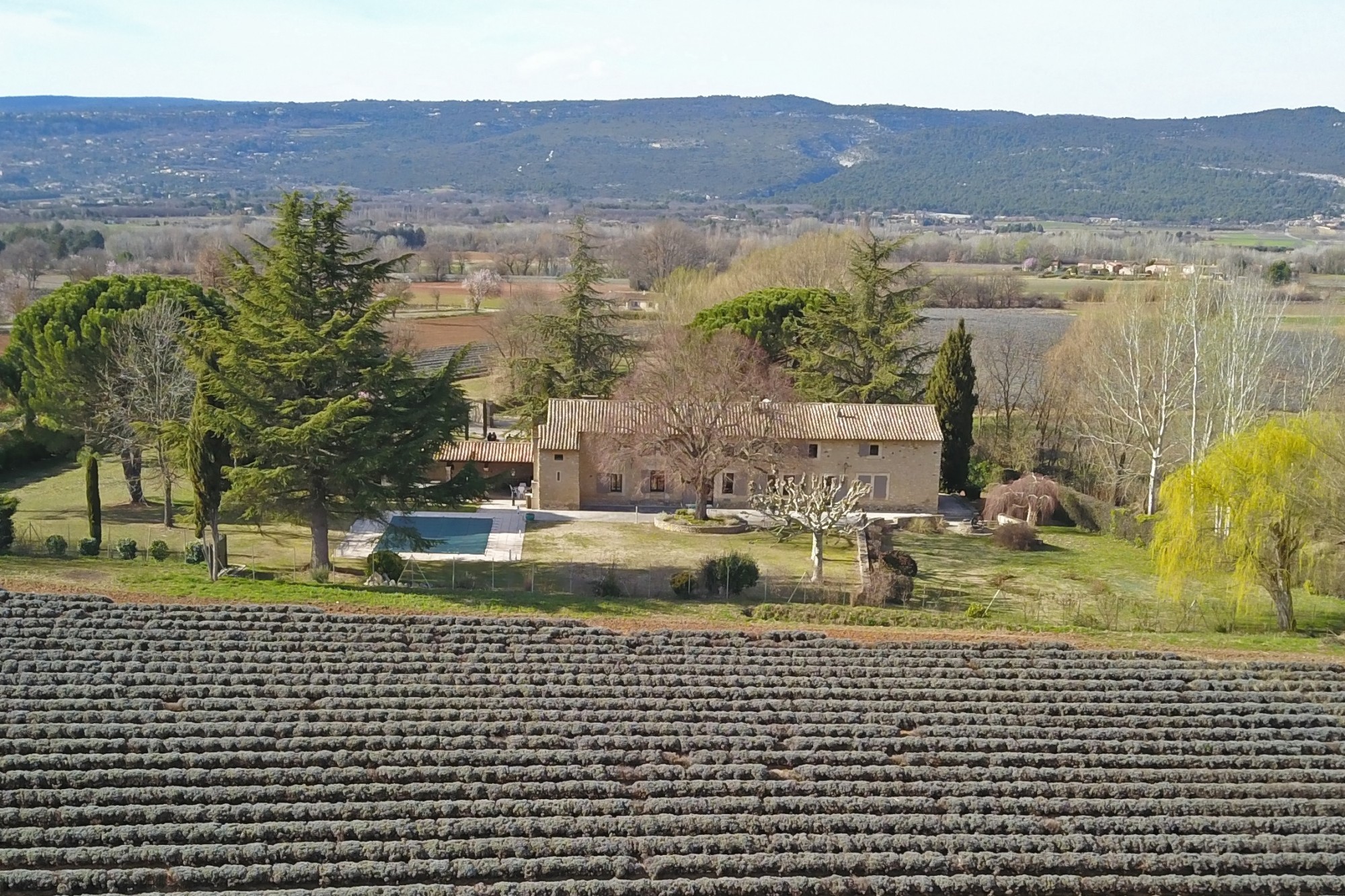 à Goult, à vendre, beau mas restauré avec piscine    