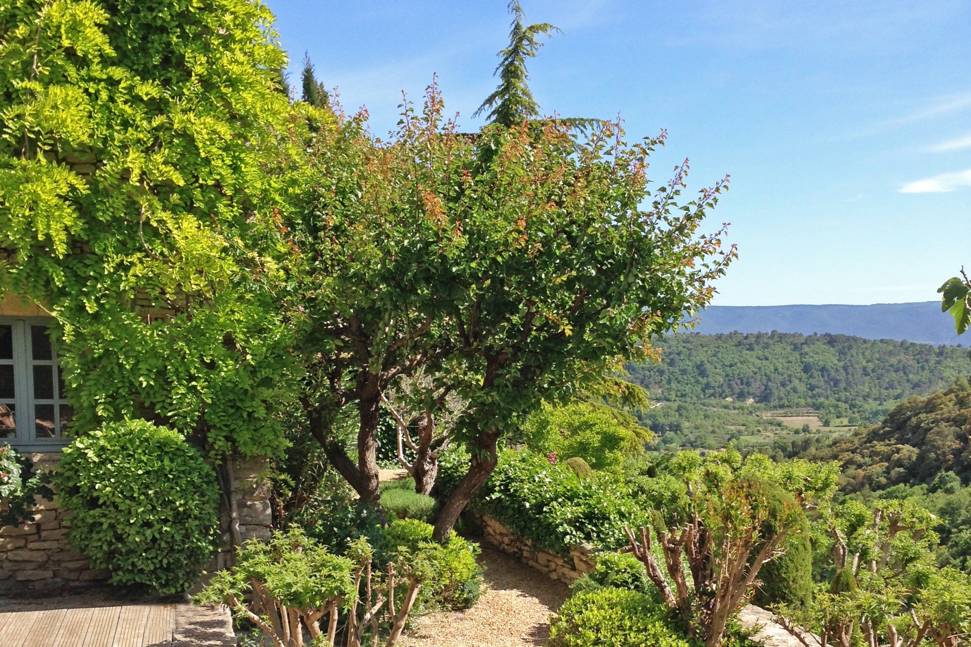 Gordes, maison de village avec piscine et jardin   