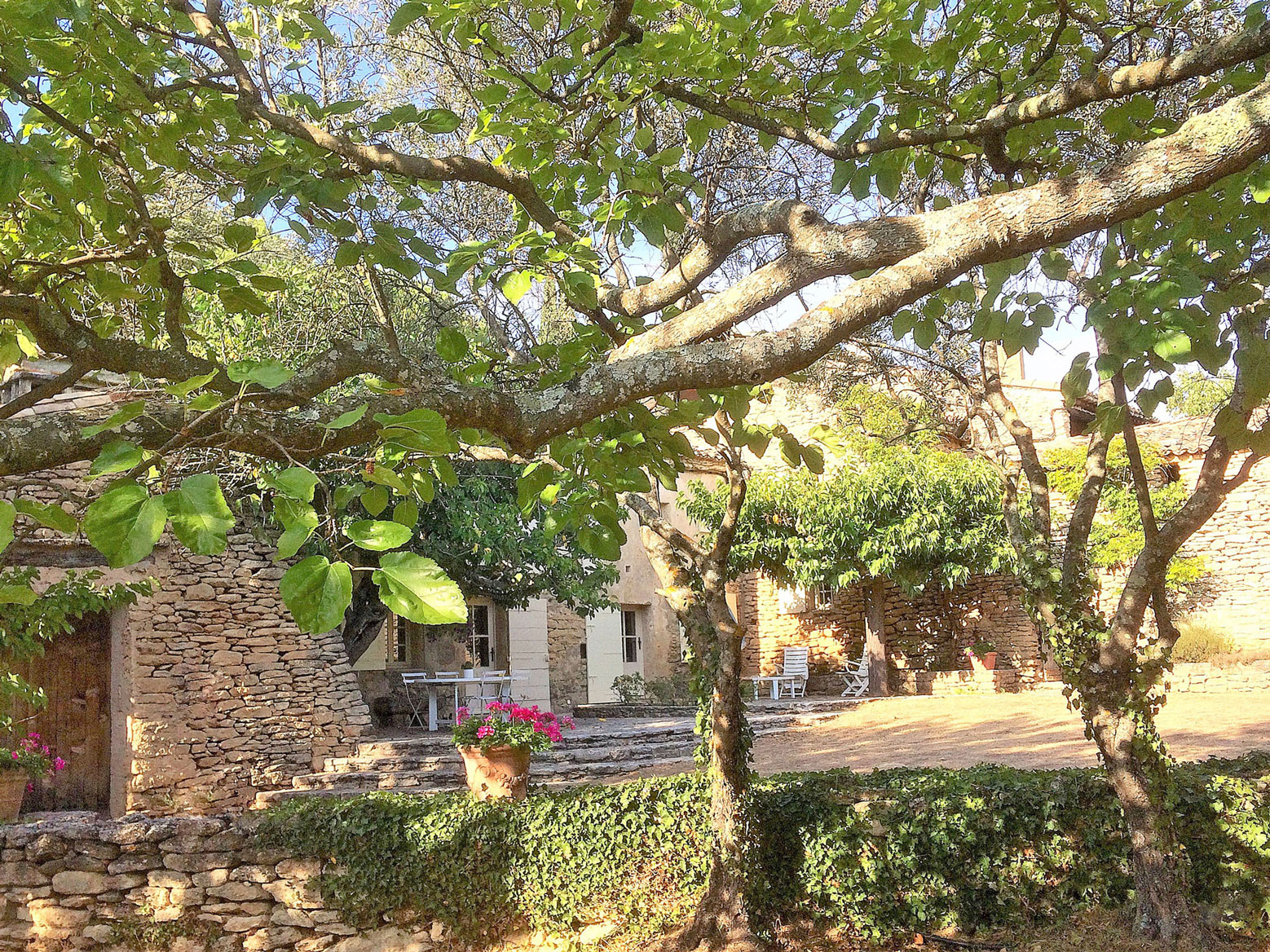 Proche Gordes,    maison de charme de 7 à 8 chambres avec piscine