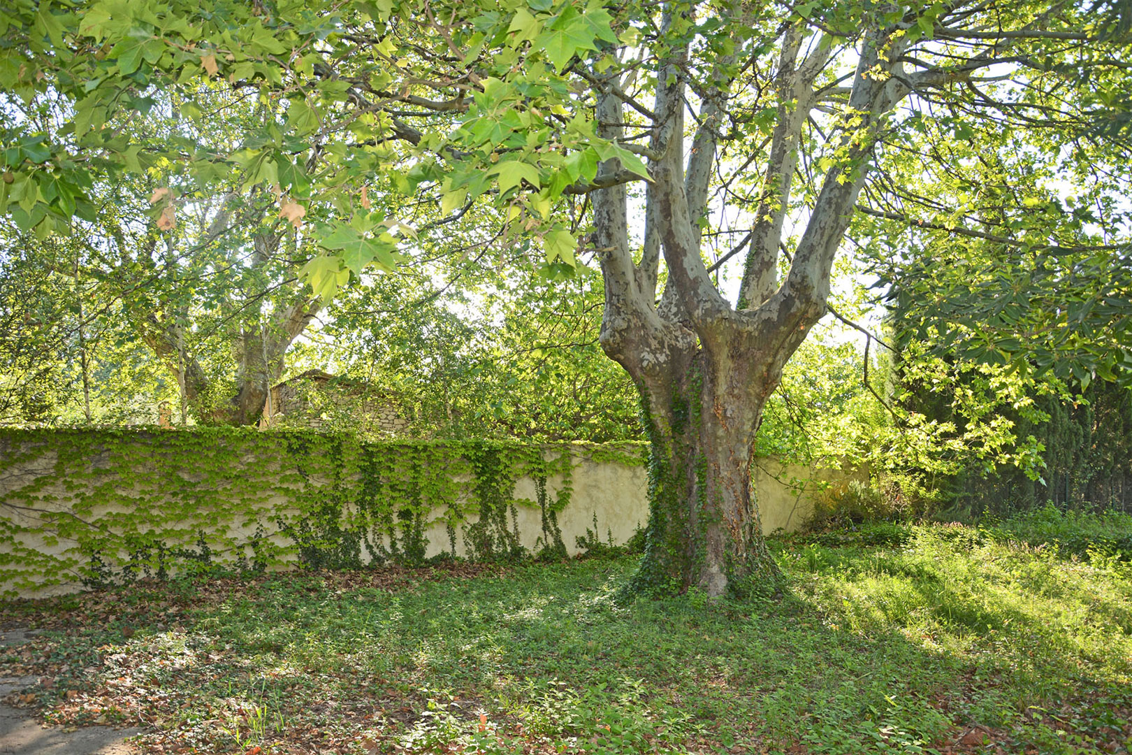 Proche de l'Isle sur la Sorgue, bastide sur un parc paysagé   
