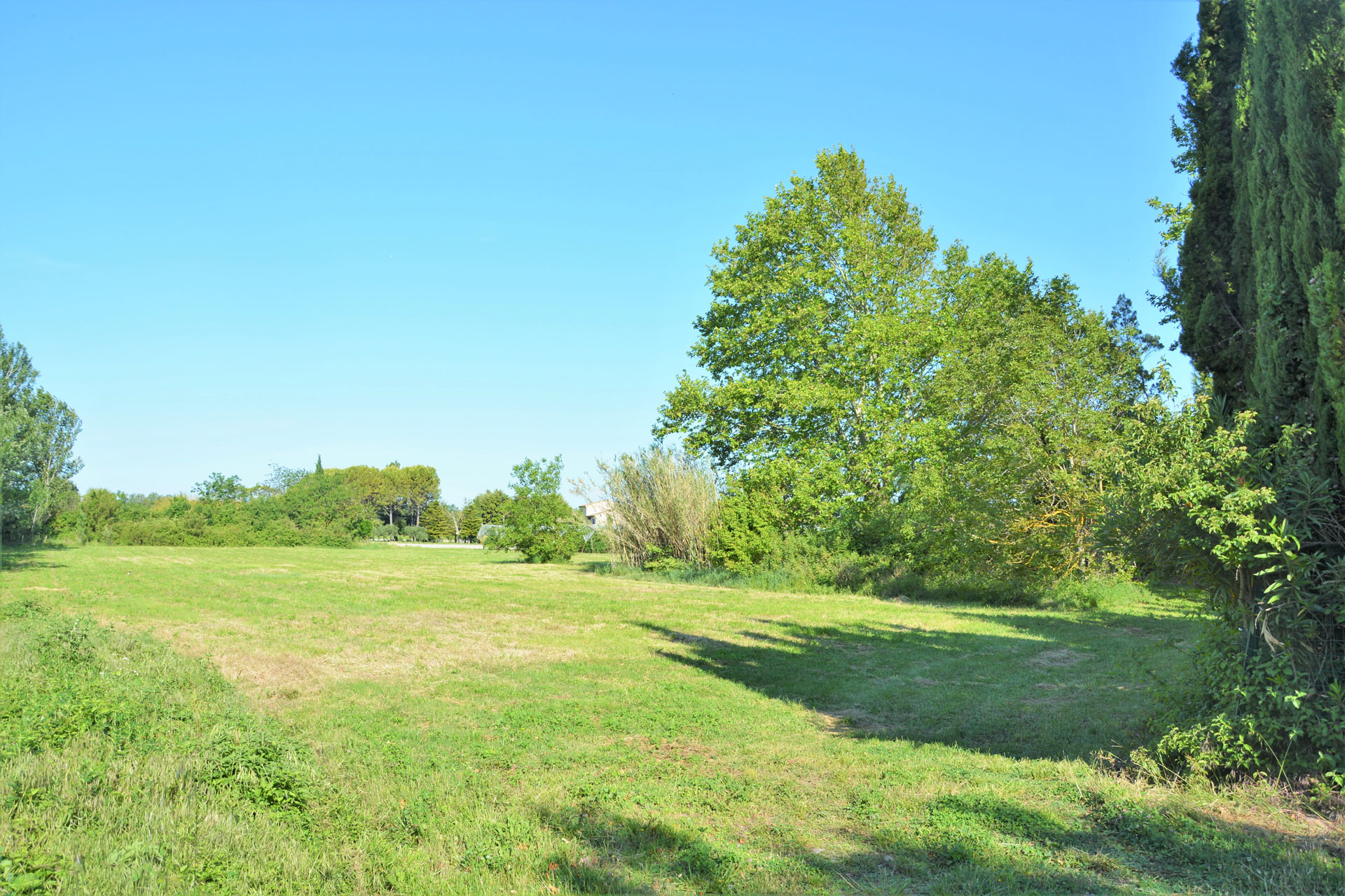 Proche de l'Isle sur la Sorgue, bastide sur un parc paysagé   