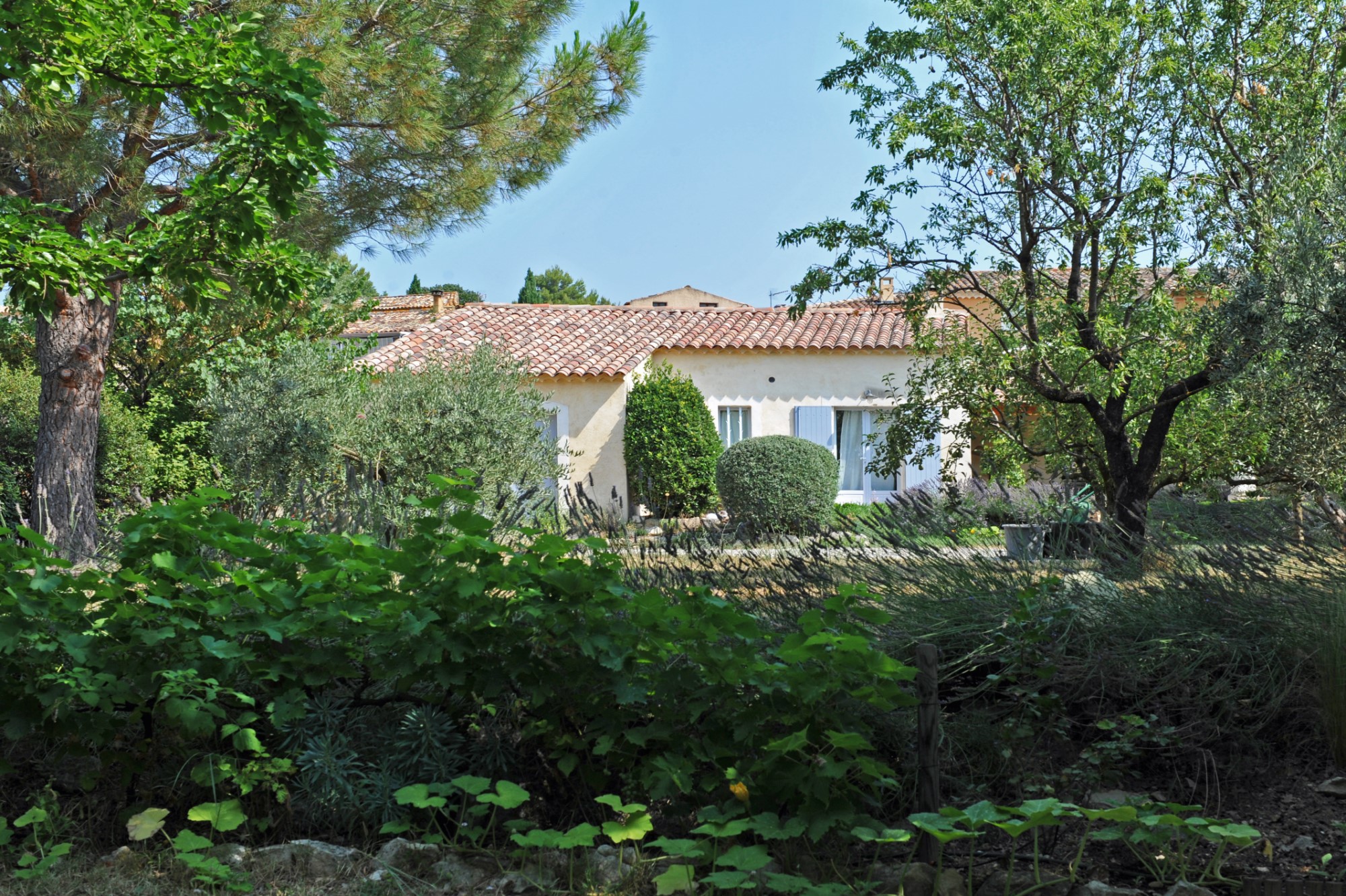 immobilier de caractère provence